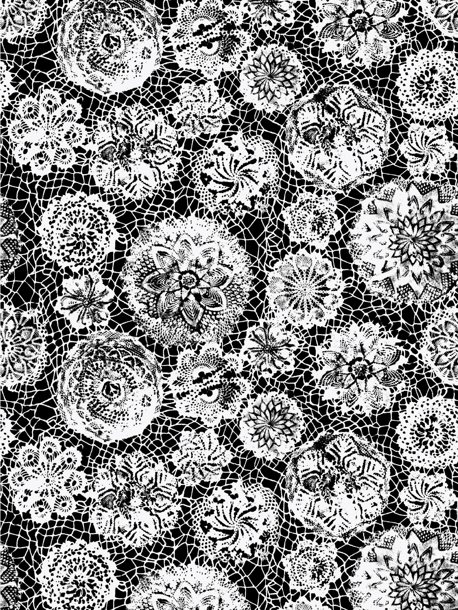 Punto Madama wallpaper in noir color - pattern number WH 000043334 - by Scalamandre in the  collection