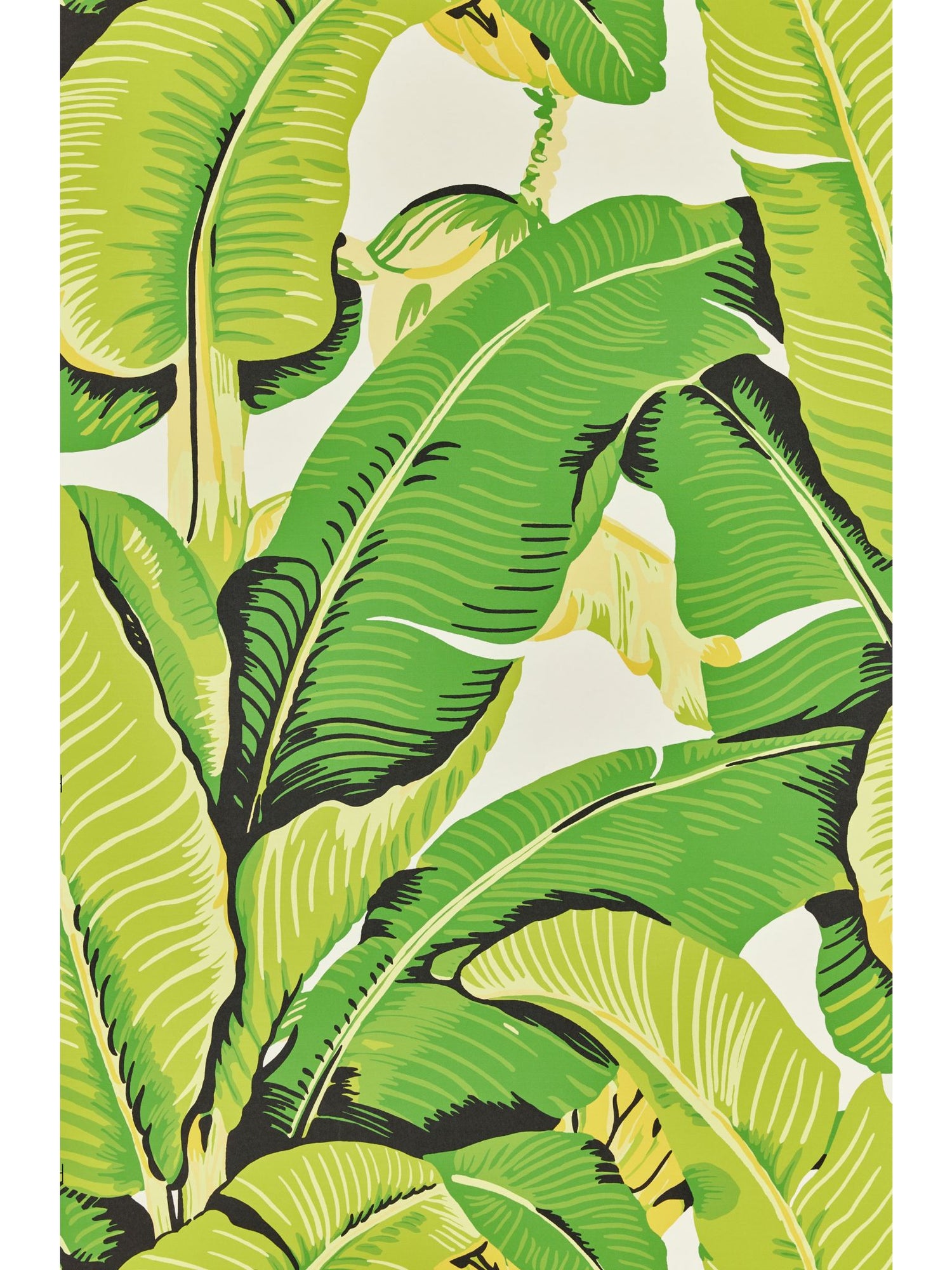 Hinson Palm fabric in mojito color - pattern number WHN 000144000M - by Scalamandre in the  collection