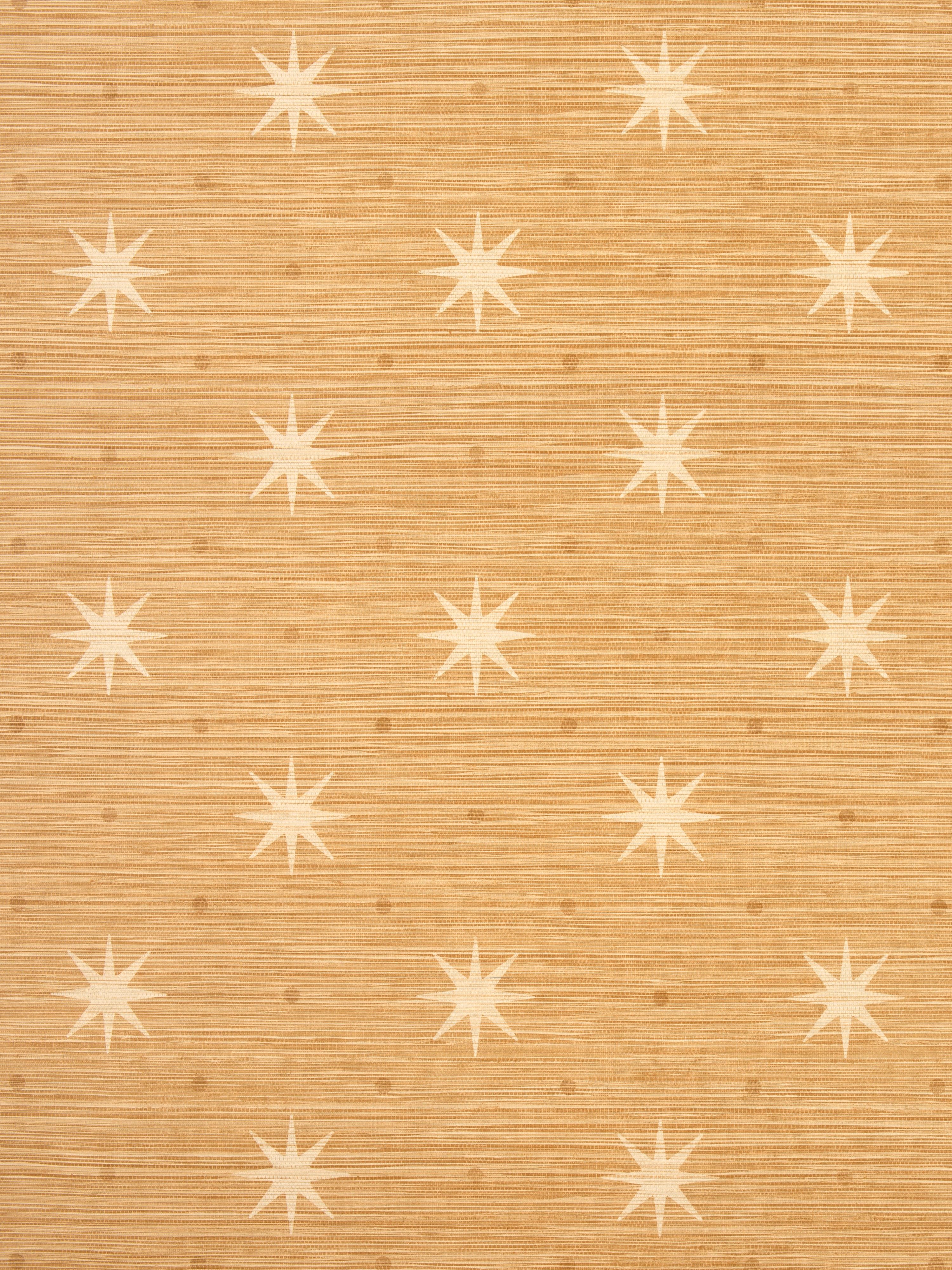 Big Trixie wallpaper in rattan color - pattern number WHN 000144002 - by Scalamandre in the  collection