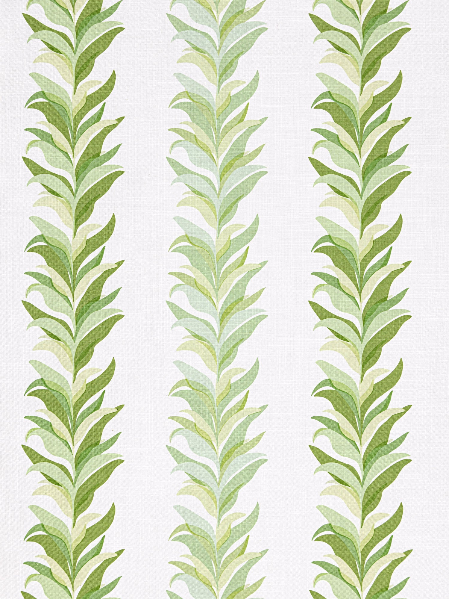 Chira Island wallpaper in leaf color - pattern number WHN WP88584D0001 - by Scalamandre in the  collection