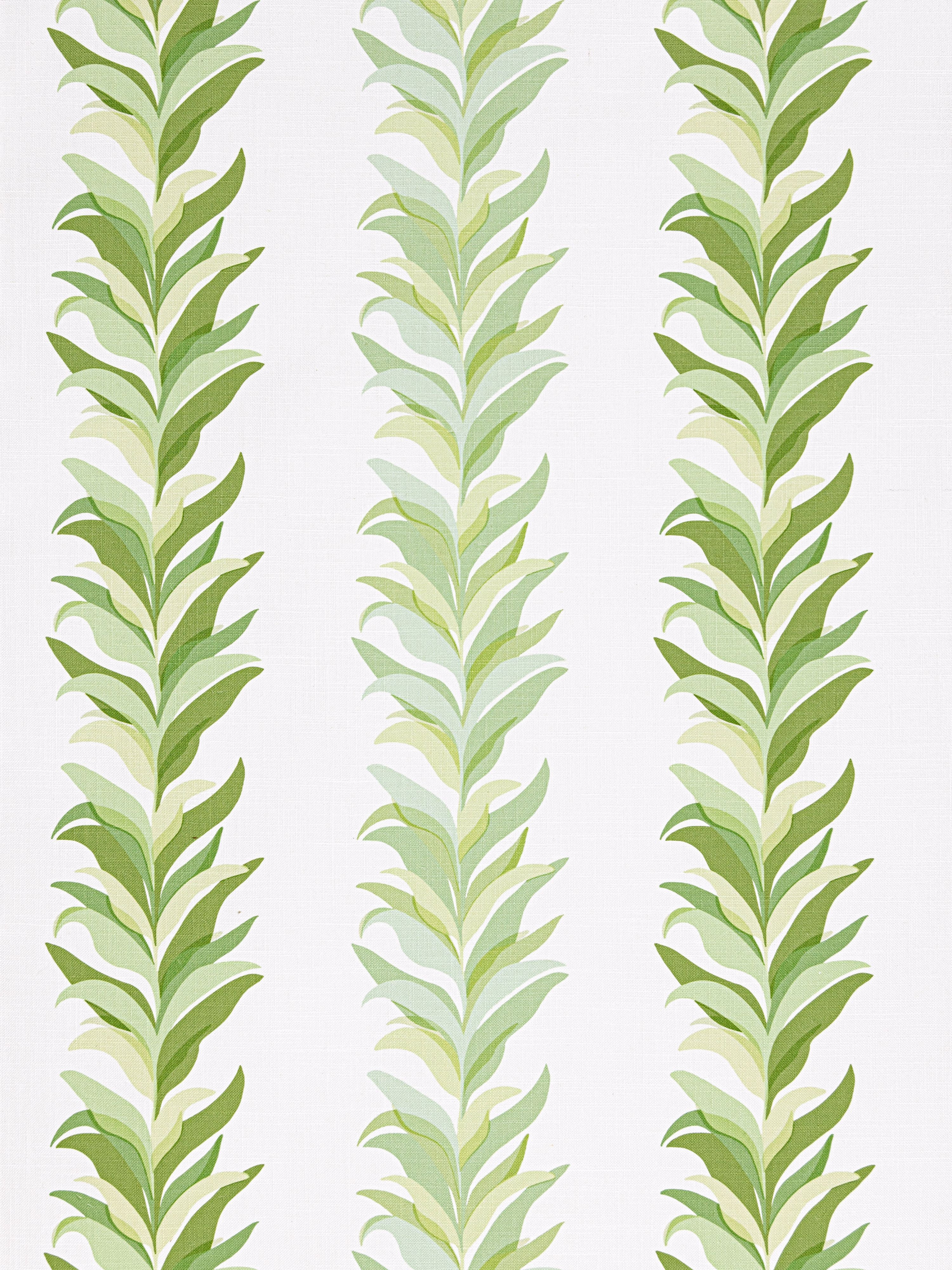 Chira Island wallpaper in leaf color - pattern number WHN WP88584D0001 - by Scalamandre in the  collection