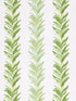 Chira Island wallpaper in leaf color - pattern number WHN WP88584D0001 - by Scalamandre in the  collection