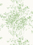 Kurt wallpaper in pear color - pattern number WHN WP88594D0002 - by Scalamandre in the  collection