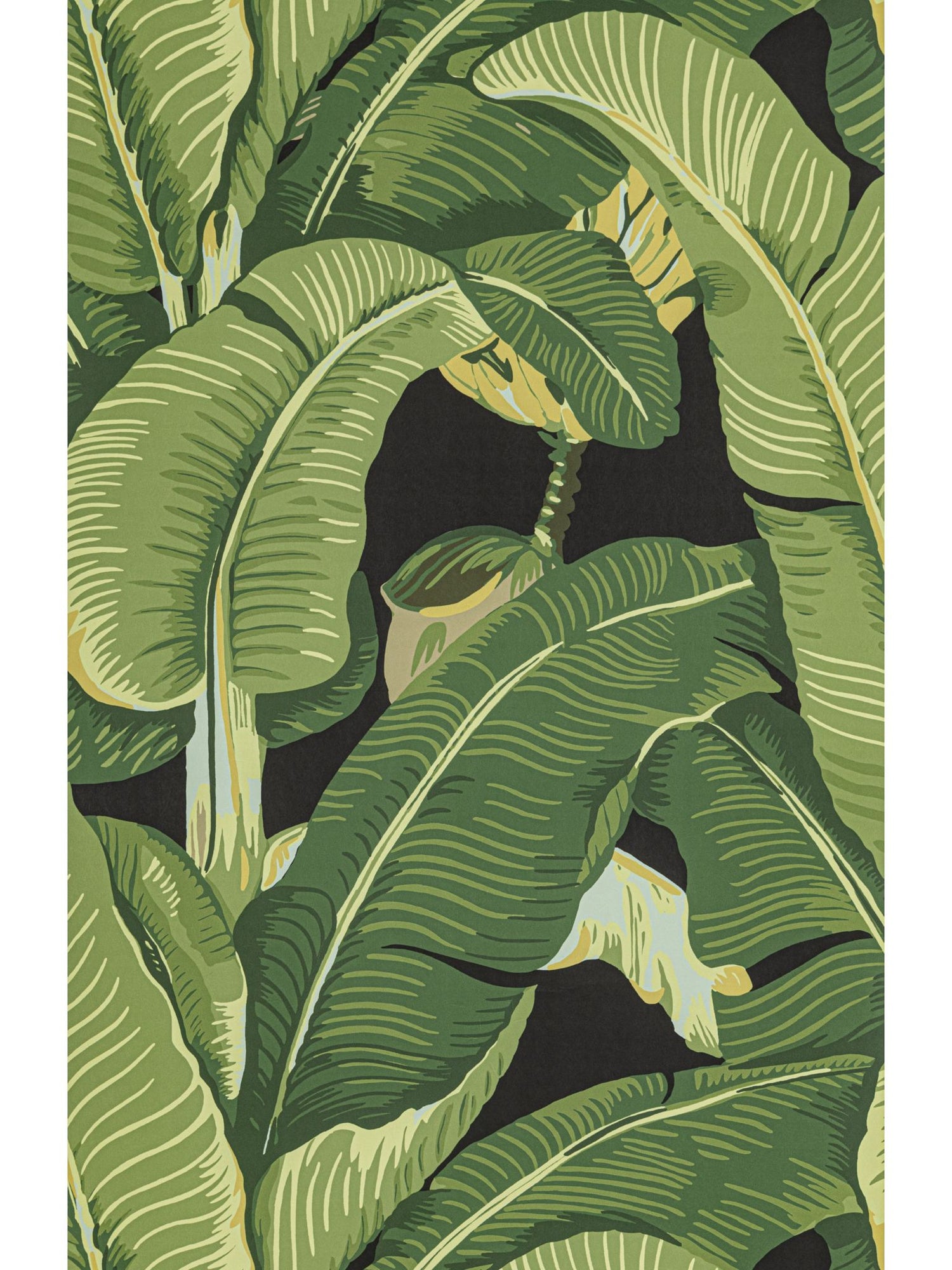 Hinson Palm fabric in absinthe color - pattern number WHN 000444000MD - by Scalamandre in the  collection