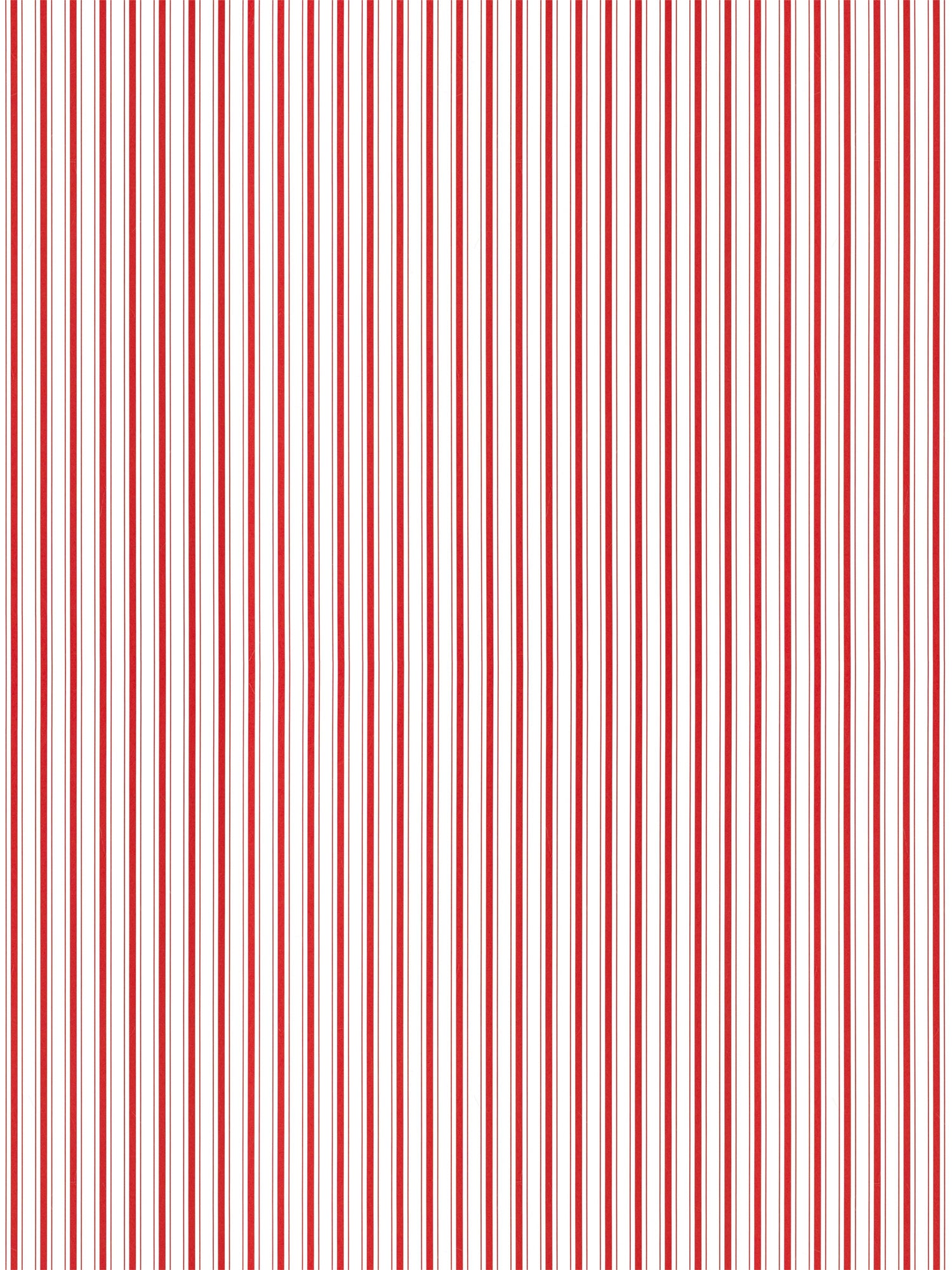 Johnson Stripe wallpaper in peppermint color - pattern number WHN WP88596D0005 - by Scalamandre in the  collection