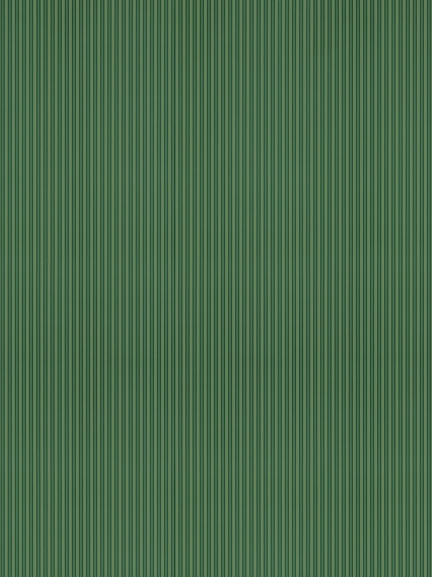 Wilson Stripe wallpaper in fern color - pattern number WHN WP88595D0007 - by Scalamandre in the  collection
