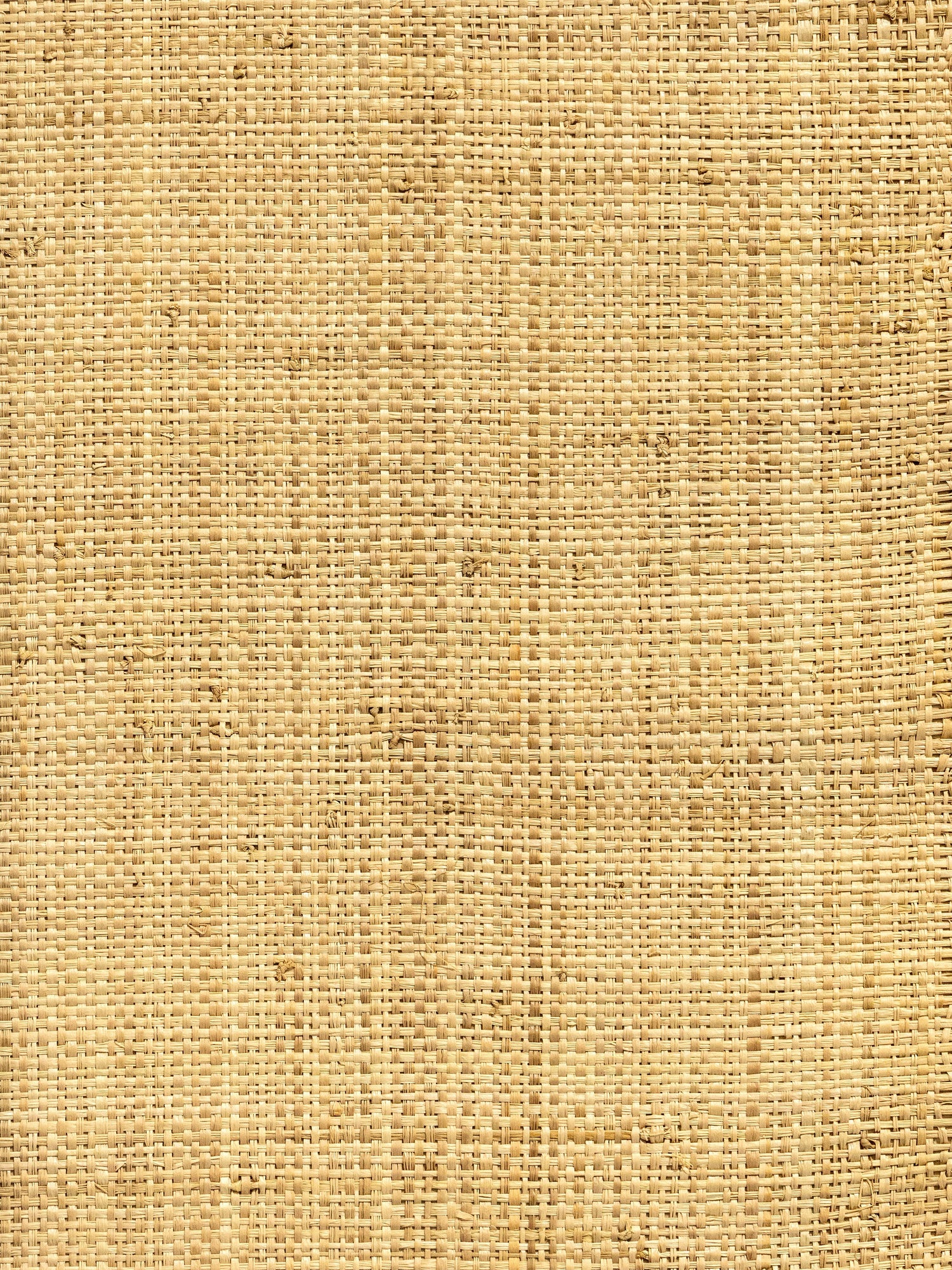 Hinson Madagascar Coarse wallpaper in natural color - pattern number WHN 00ABY0390 - by Scalamandre in the  collection