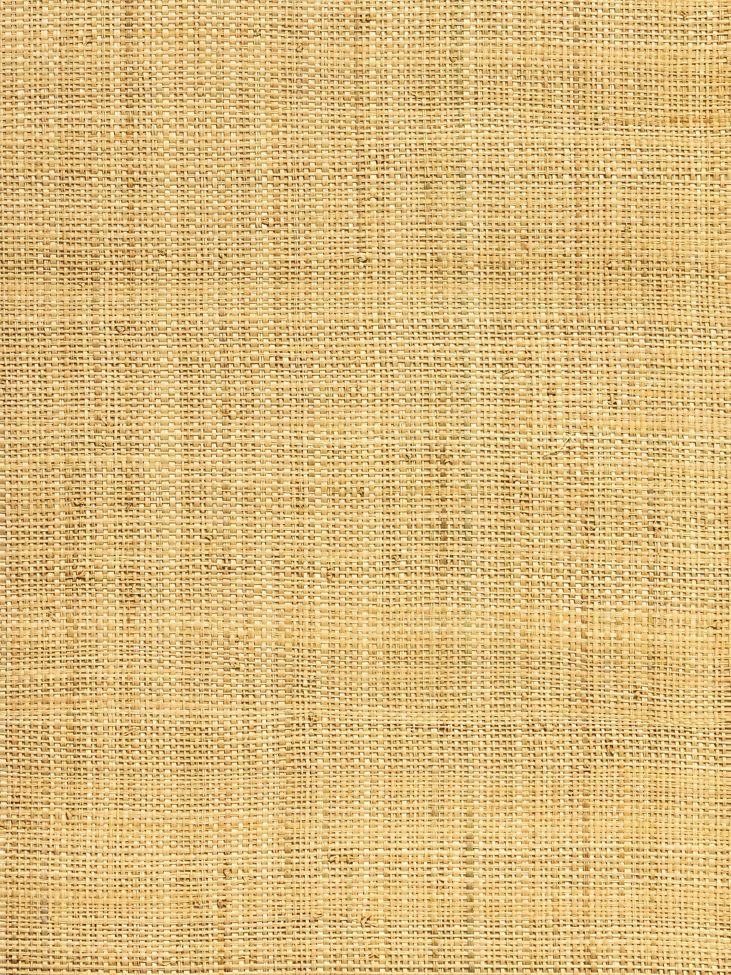Hinson Madagascar Fine wallpaper in natural color - pattern number WHN 00ABY0391 - by Scalamandre in the  collection