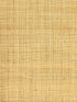 Hinson Madagascar Fine wallpaper in natural color - pattern number WHN 00ABY0391 - by Scalamandre in the  collection