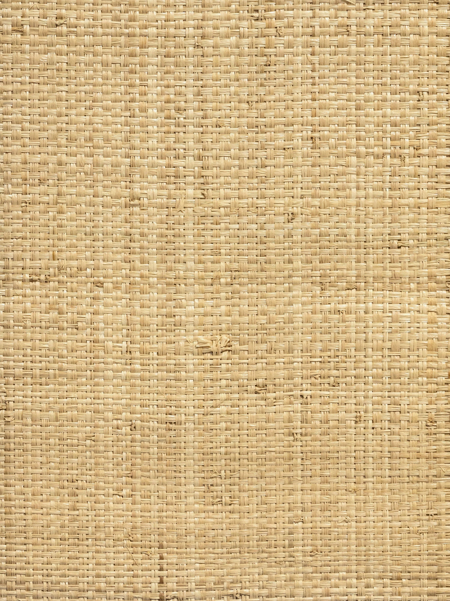 Hinson Madagascar Grand wallpaper in natural color - pattern number WHN 00ABY0392 - by Scalamandre in the  collection