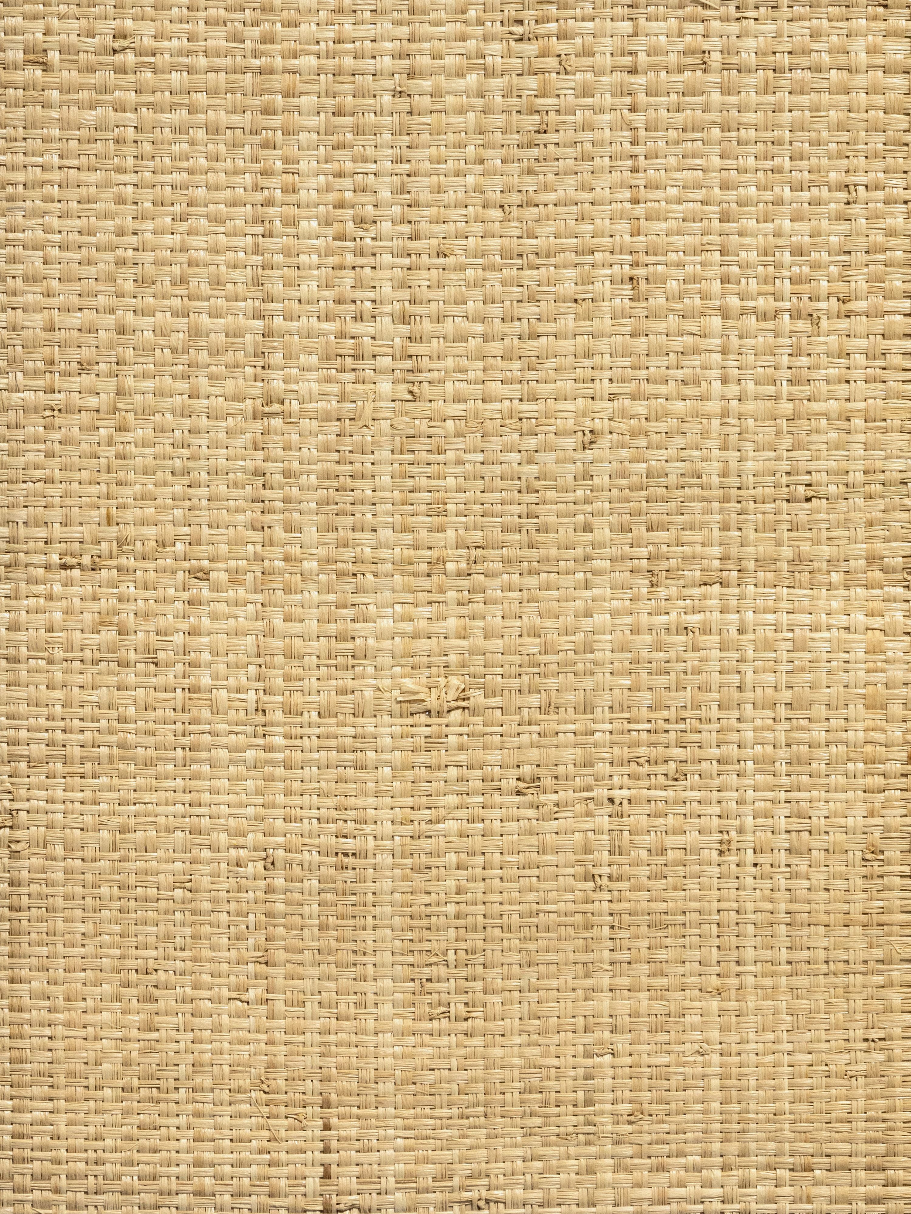Hinson Madagascar Grand wallpaper in natural color - pattern number WHN 00ABY0392 - by Scalamandre in the  collection