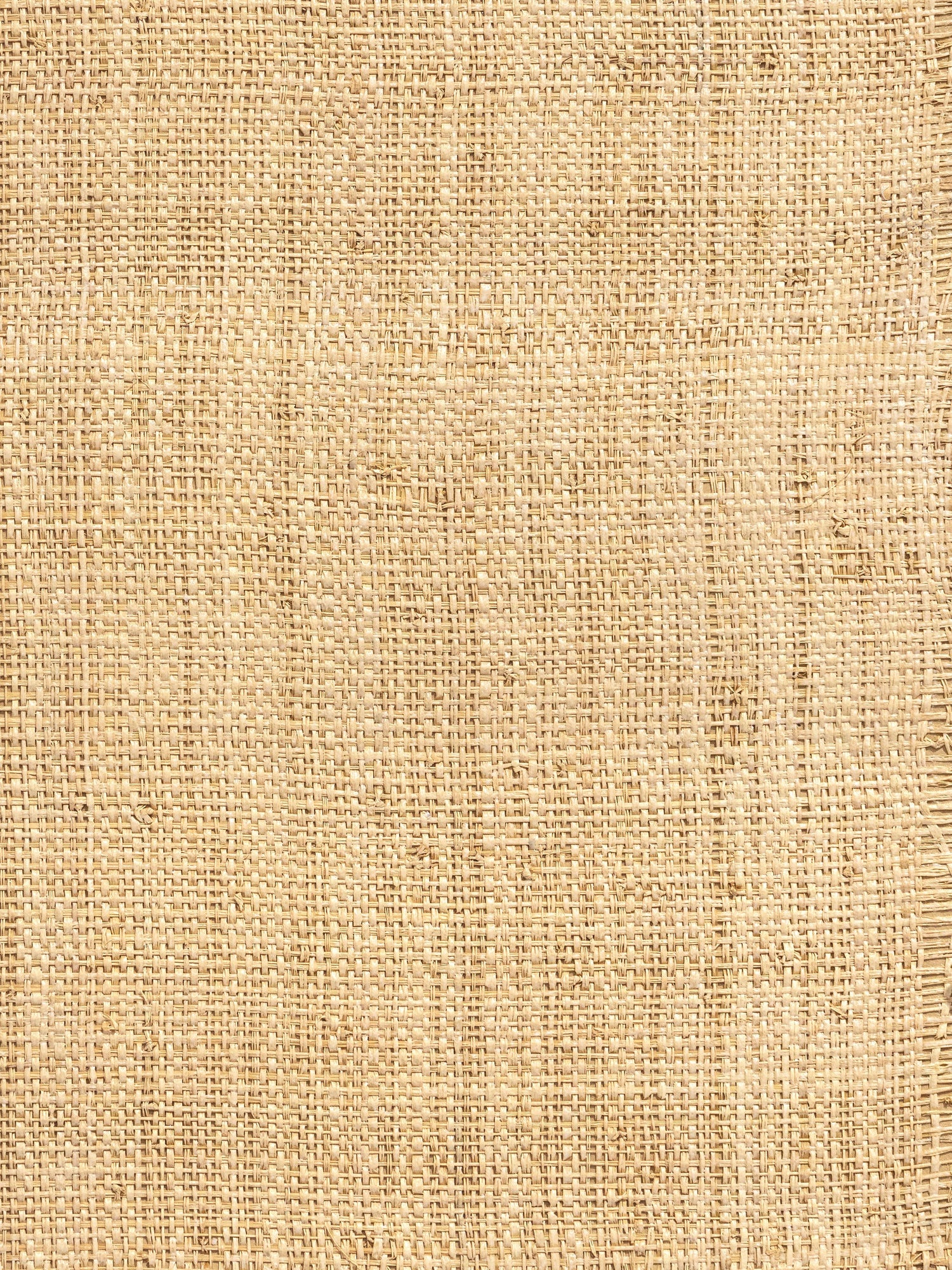 Hinson Madagascar Coarse wallpaper in whitewashed color - pattern number WHN 00WBY0390 - by Scalamandre in the  collection