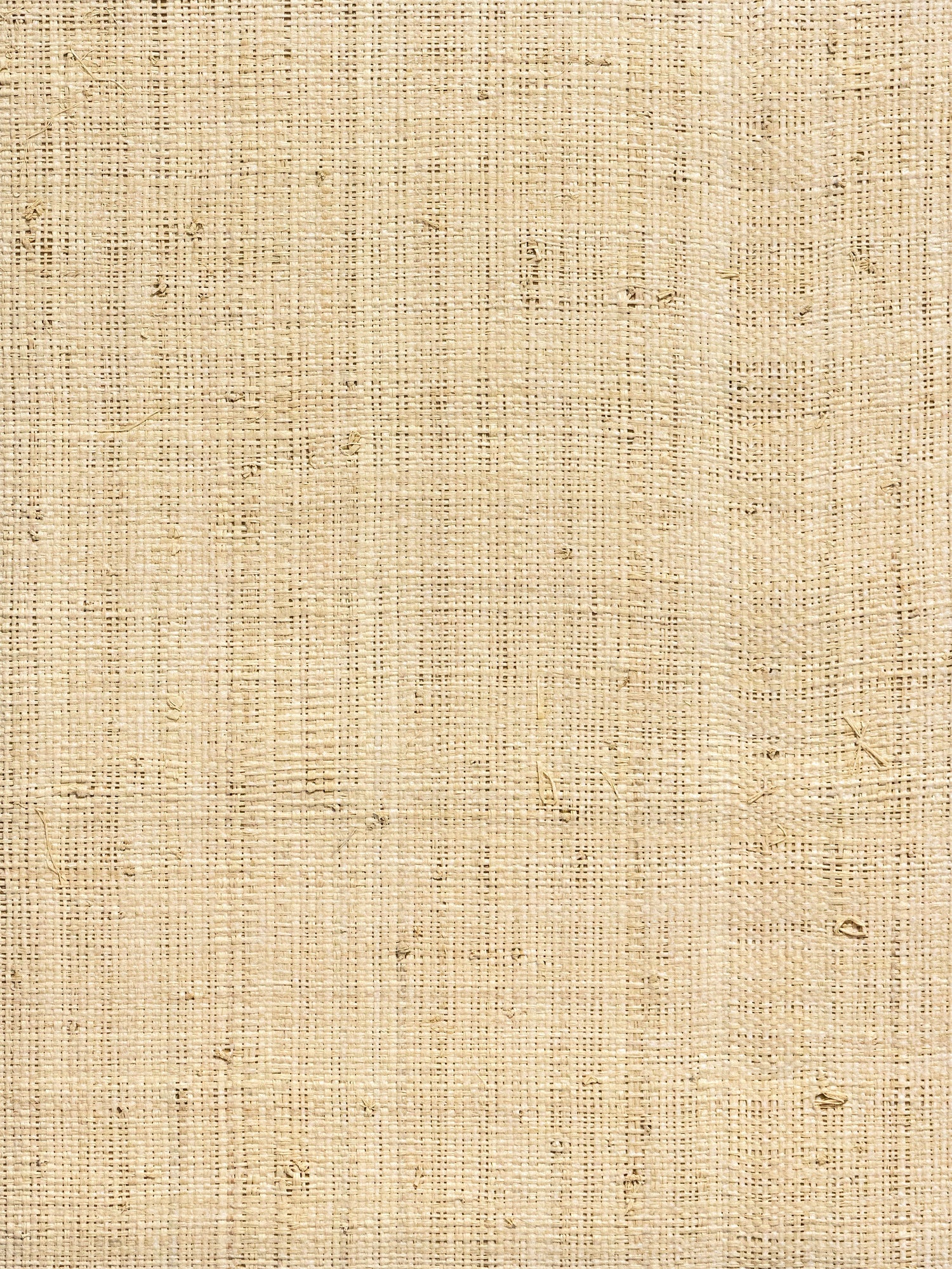 Hinson Madagascar Fine wallpaper in whitewashed color - pattern number WHN 00WBY0391 - by Scalamandre in the  collection