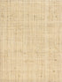 Hinson Madagascar Fine wallpaper in whitewashed color - pattern number WHN 00WBY0391 - by Scalamandre in the  collection