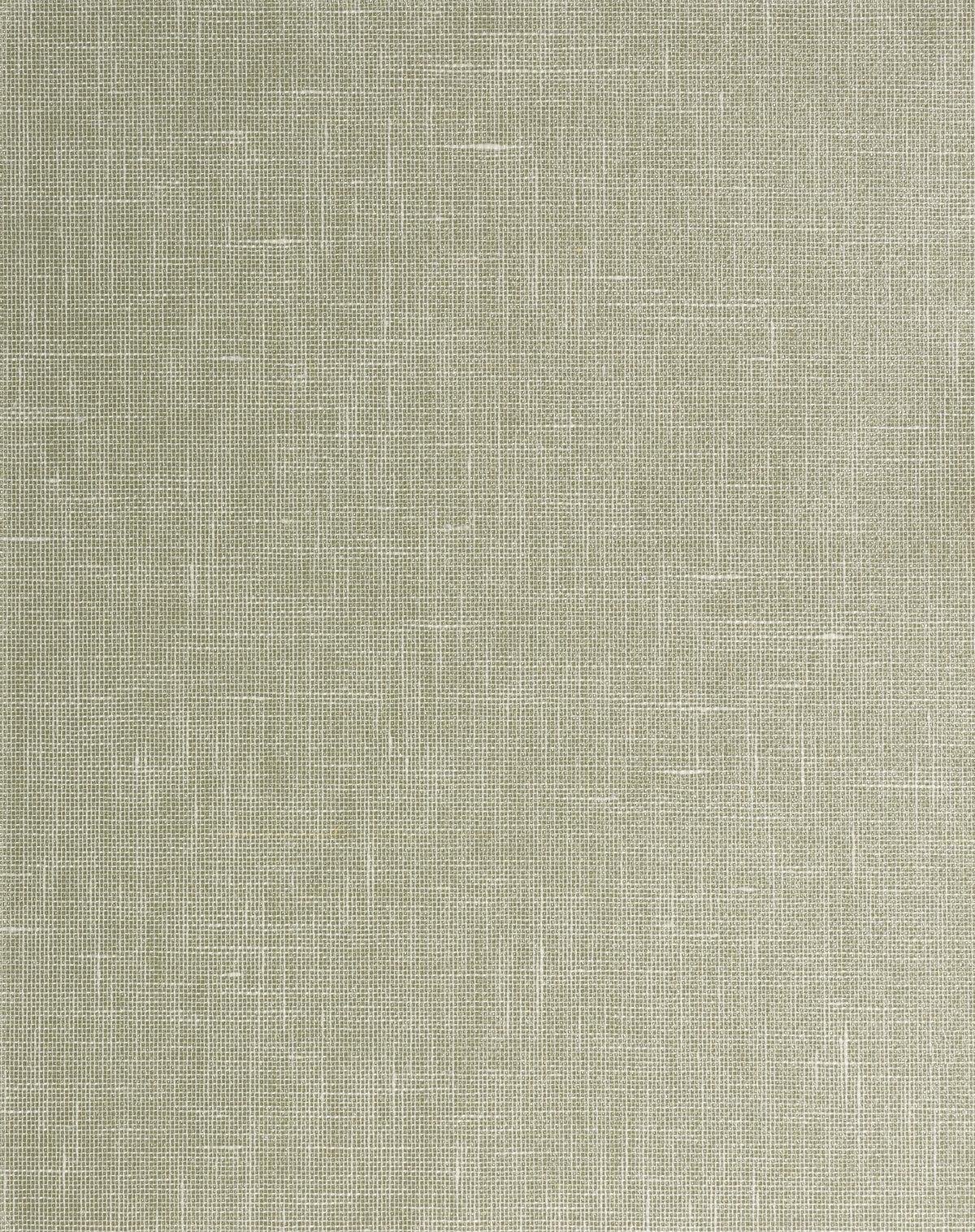 Lido Wallpaper in Pine color - pattern number WNK7164.WT.0 - by Winfield Thybony in the Modi Lino collection