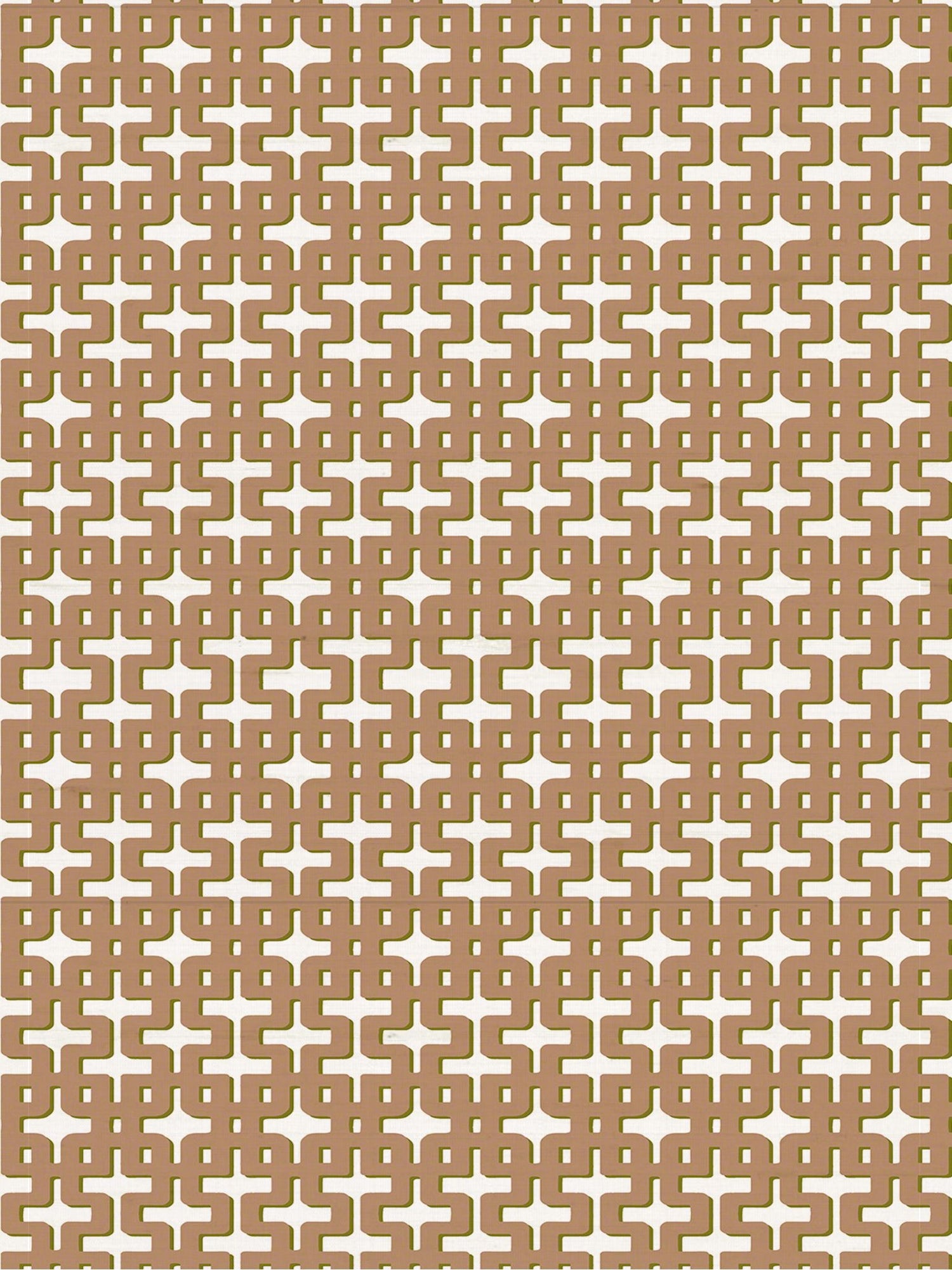 Chiang Mai fabric in sonoran color - pattern number WNM 0002CMAI - by Scalamandre in the  collection