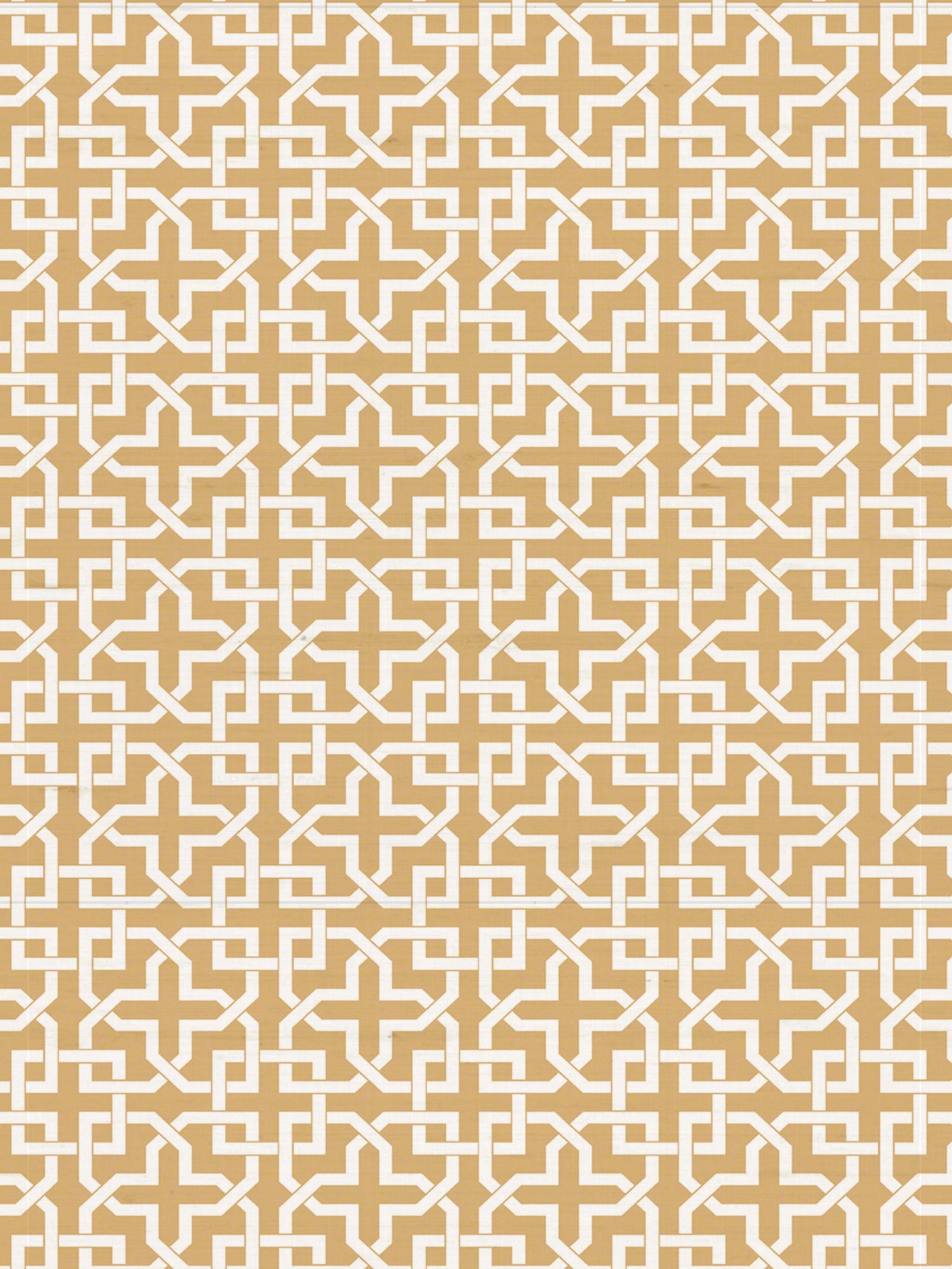 Infinity wallpaper in caffe color - pattern number WNM 0002INFI - by Scalamandre in the  collection