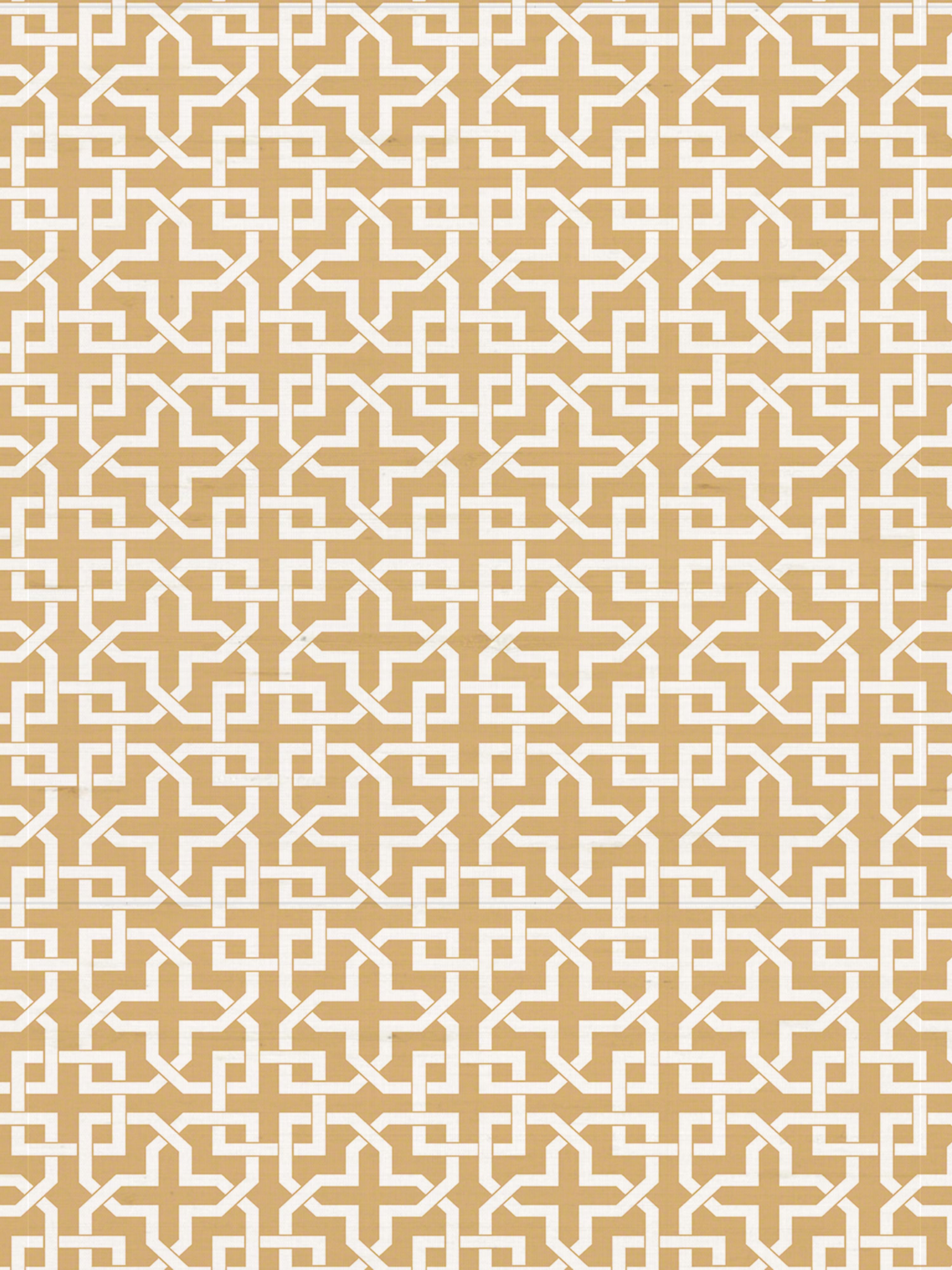 Infinity wallpaper in caffe color - pattern number WNM 0002INFI - by Scalamandre in the  collection