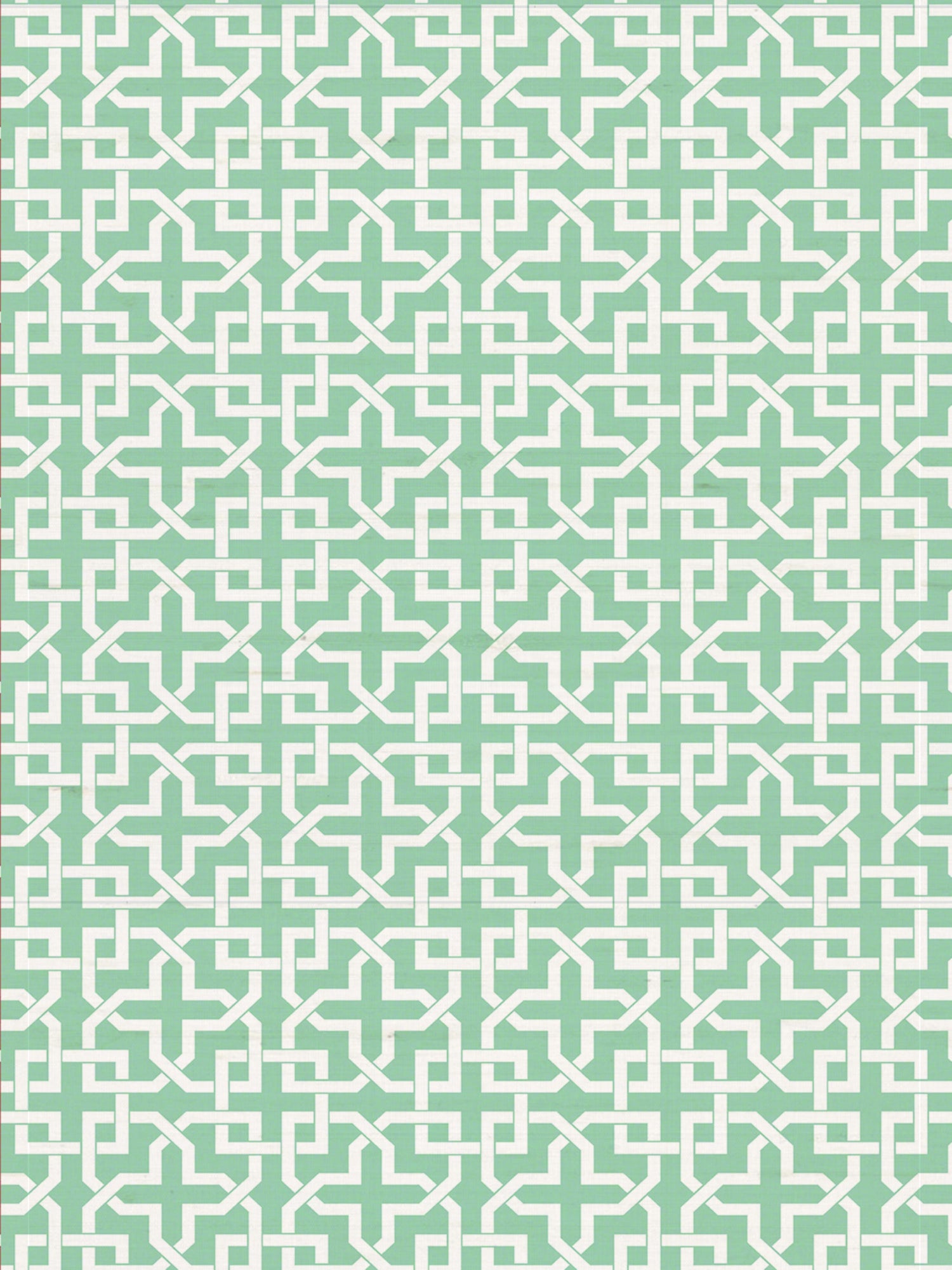Infinity wallpaper in life color - pattern number WNM 0003INFI - by Scalamandre in the  collection