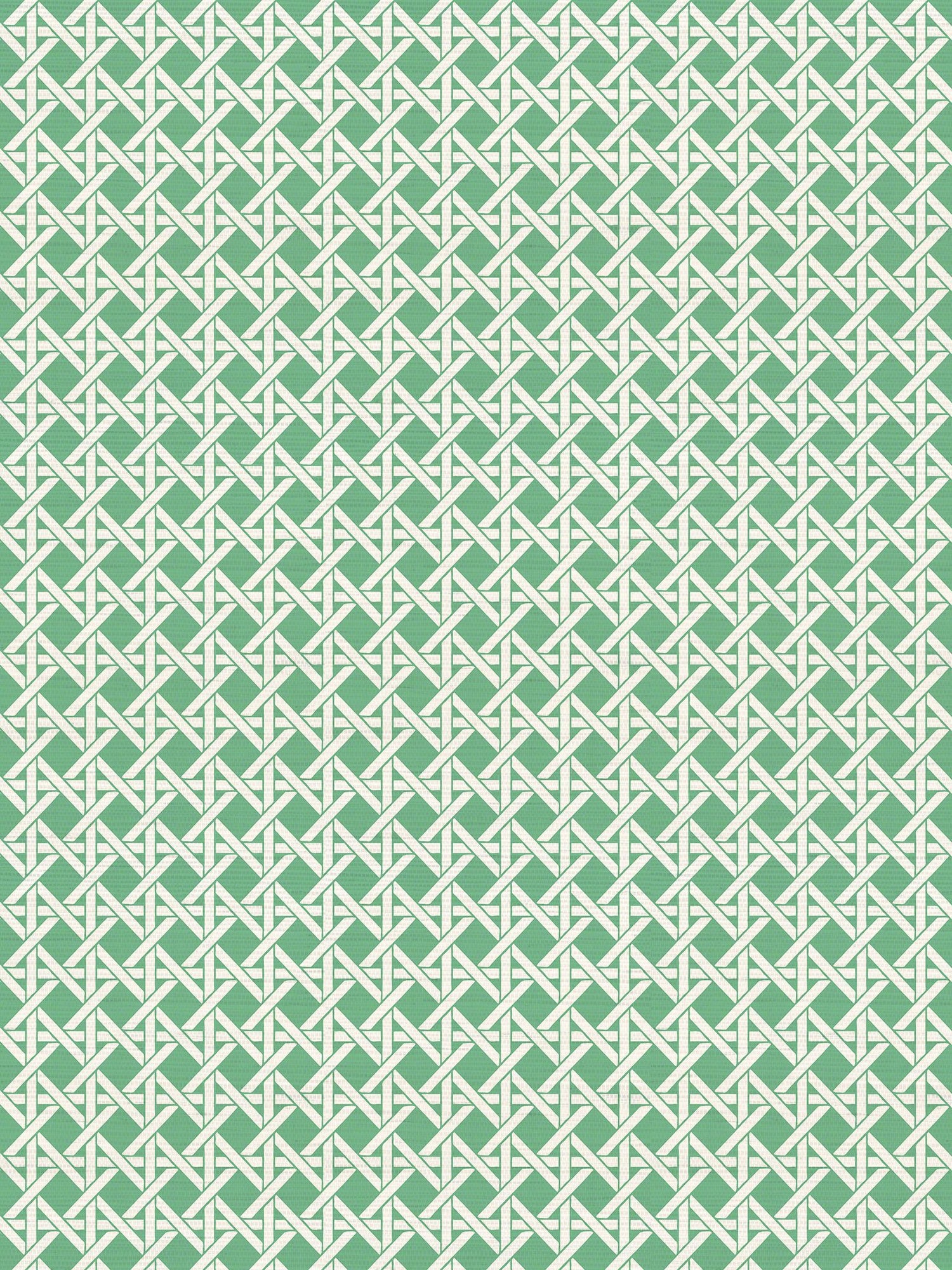 Devon Weave fabric in trousdale color - pattern number WNM 0004DEVO - by Scalamandre in the  collection