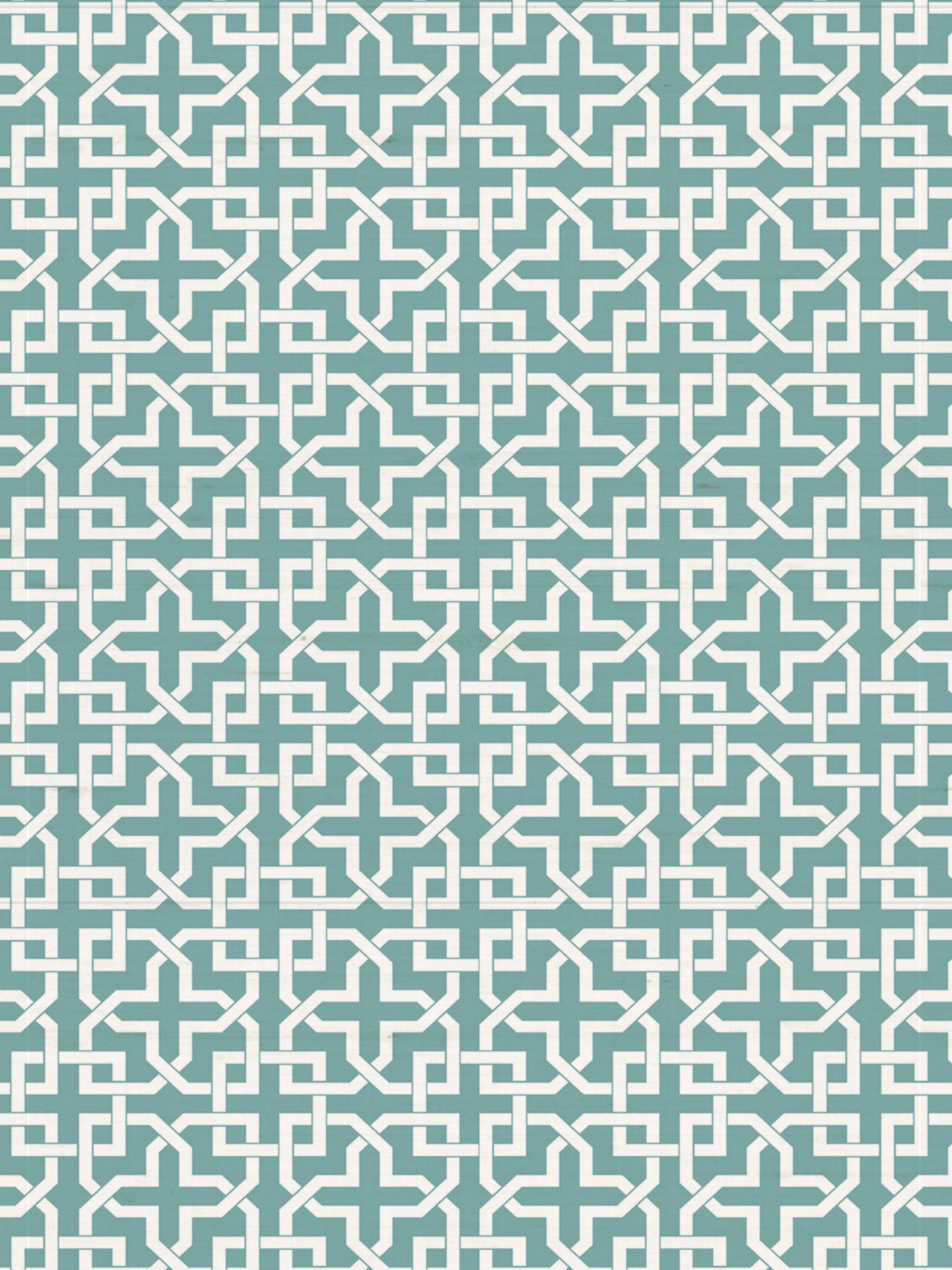 Infinity wallpaper in montecito color - pattern number WNM 0004INFI - by Scalamandre in the  collection