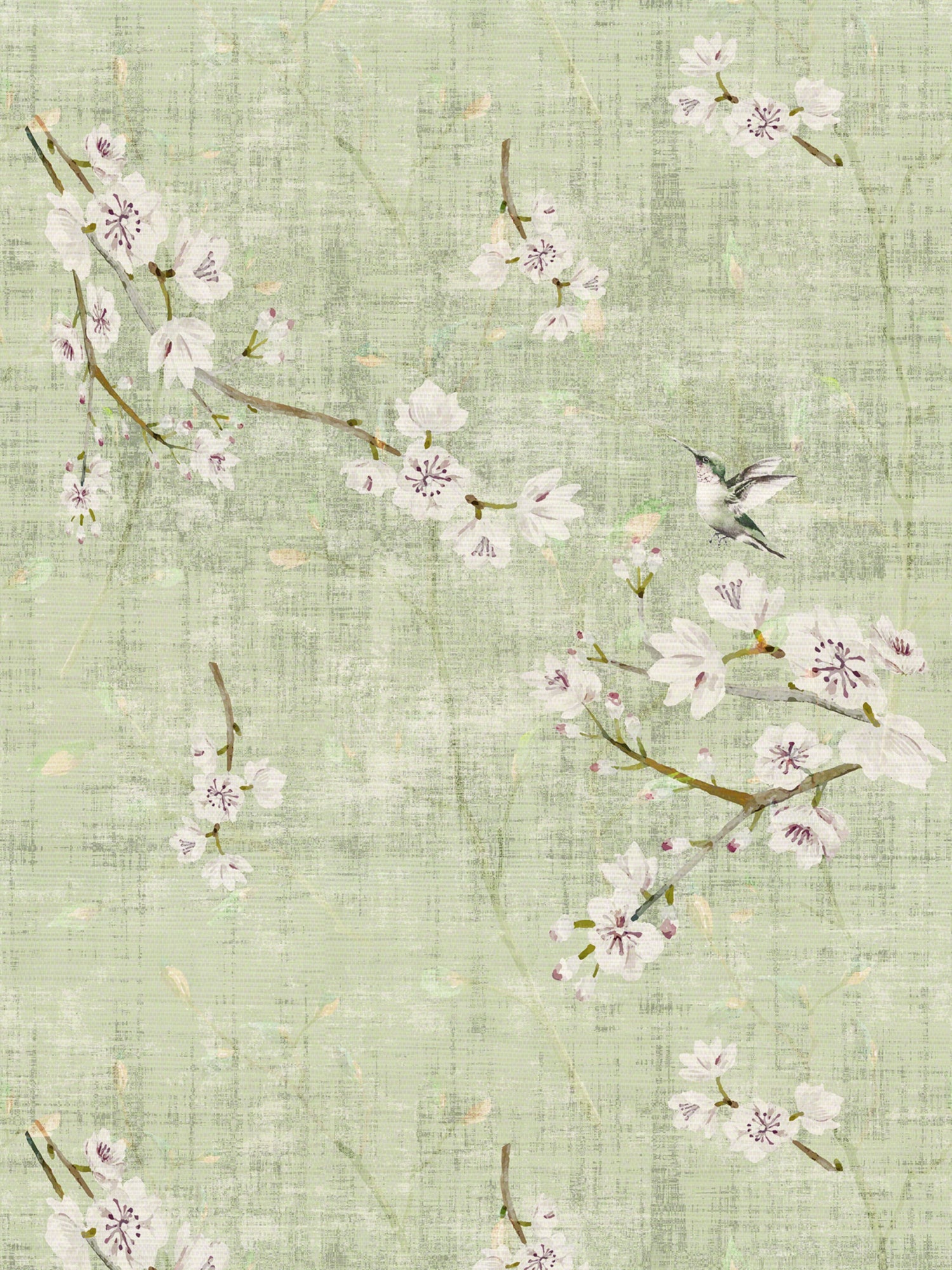 Blossom Fantasia wallpaper in celadon color - pattern number WNM 1055BLOS - by Scalamandre in the  collection