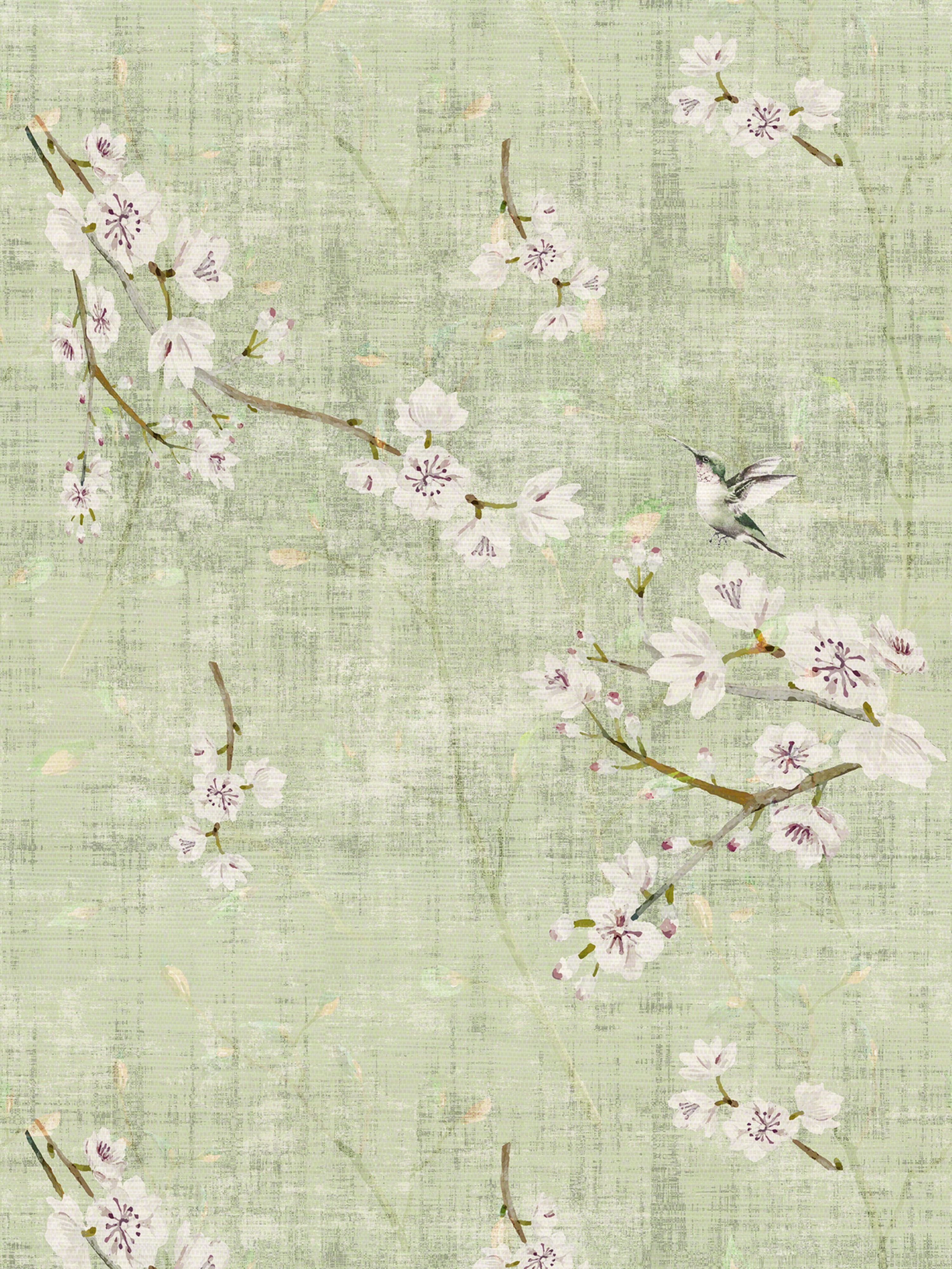 Blossom Fantasia wallpaper in celadon color - pattern number WNM 1055BLOS - by Scalamandre in the  collection
