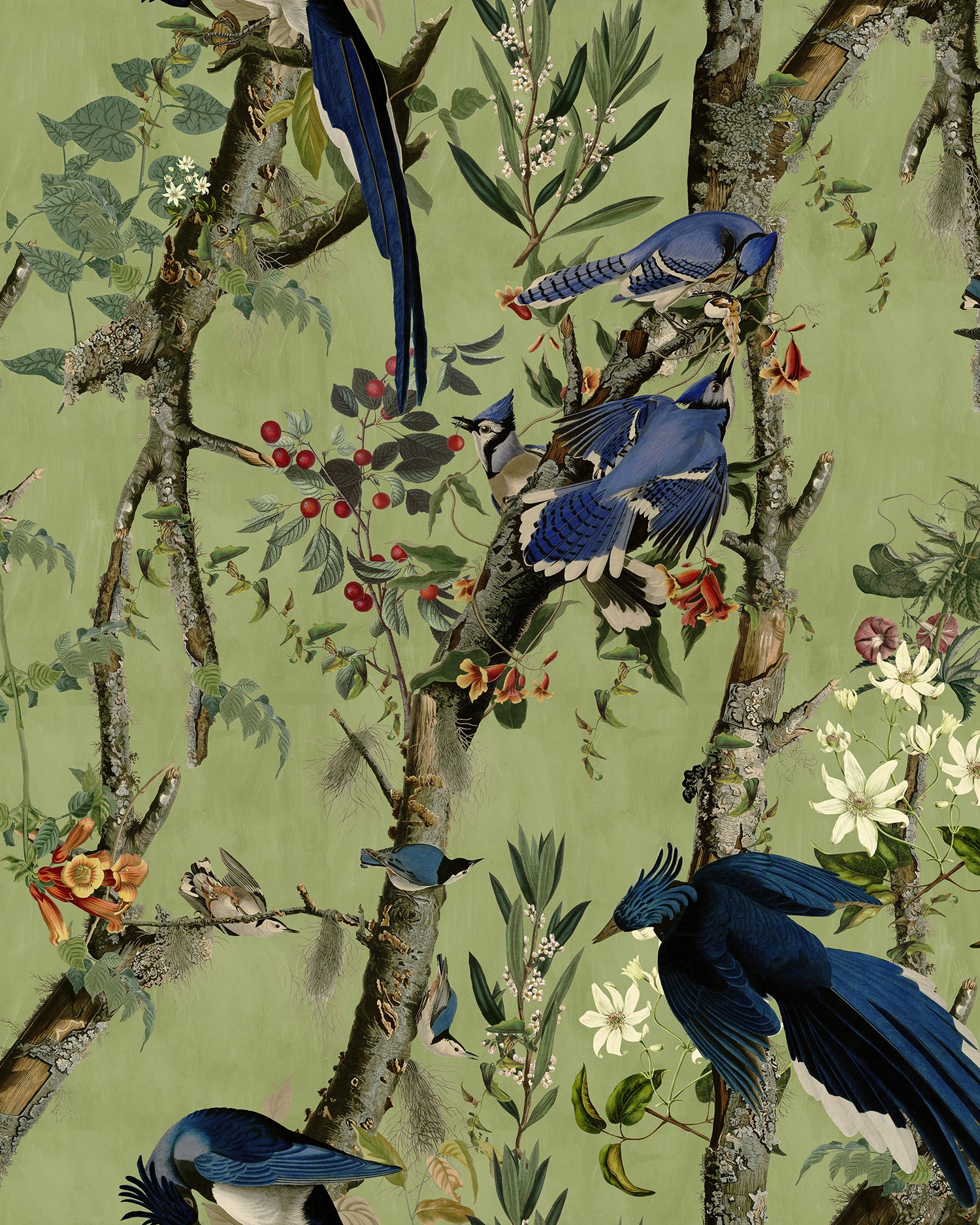 Birds of Danube wallpaper in green blue color - pattern number WP20715 - by Mind the Gap in the The Wetlands collection