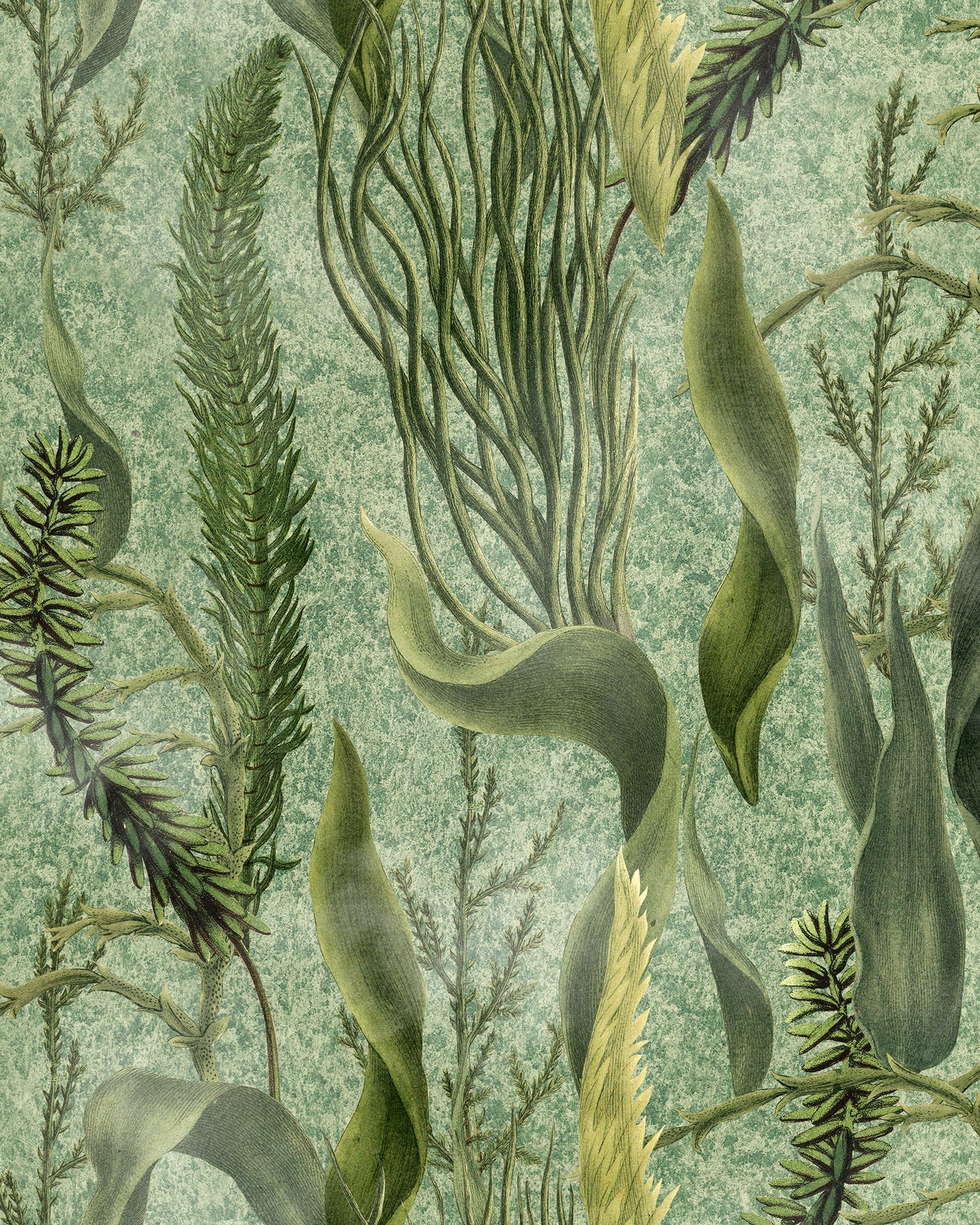 Aquatic Plants wallpaper in green color - pattern number WP20717 - by Mind the Gap in the The Wetlands collection