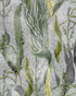Aquatic Plants wallpaper in grey color - pattern number WP20718 - by Mind the Gap in the The Wetlands collection