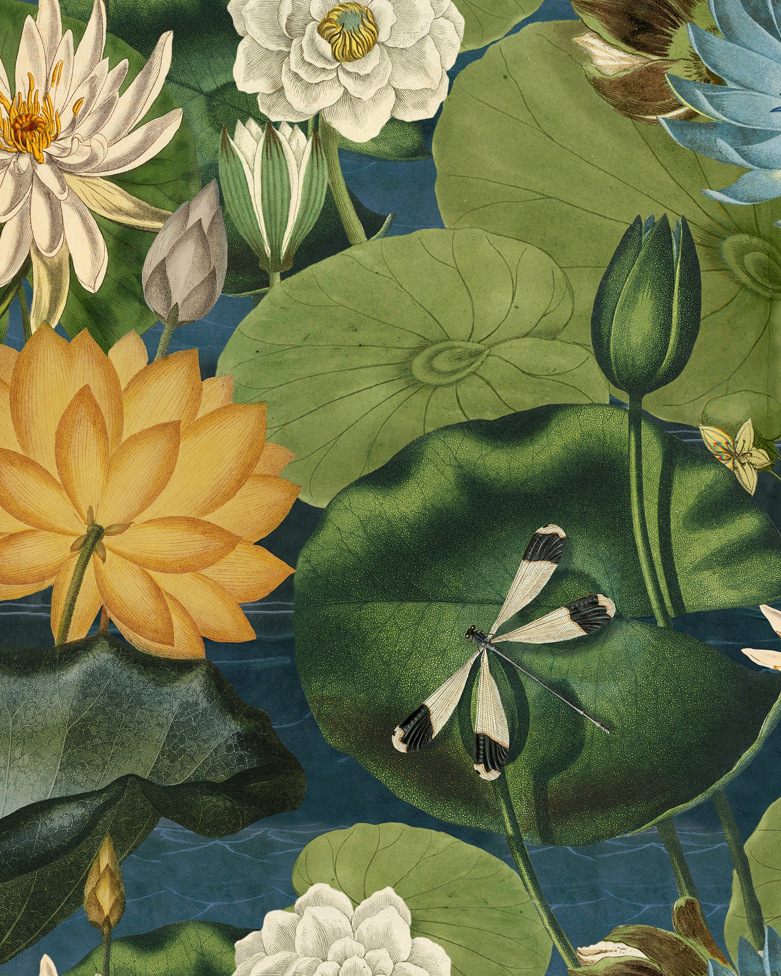 Lotus Blossom wallpaper in green blue color - pattern number WP20723 - by Mind the Gap in the The Wetlands collection