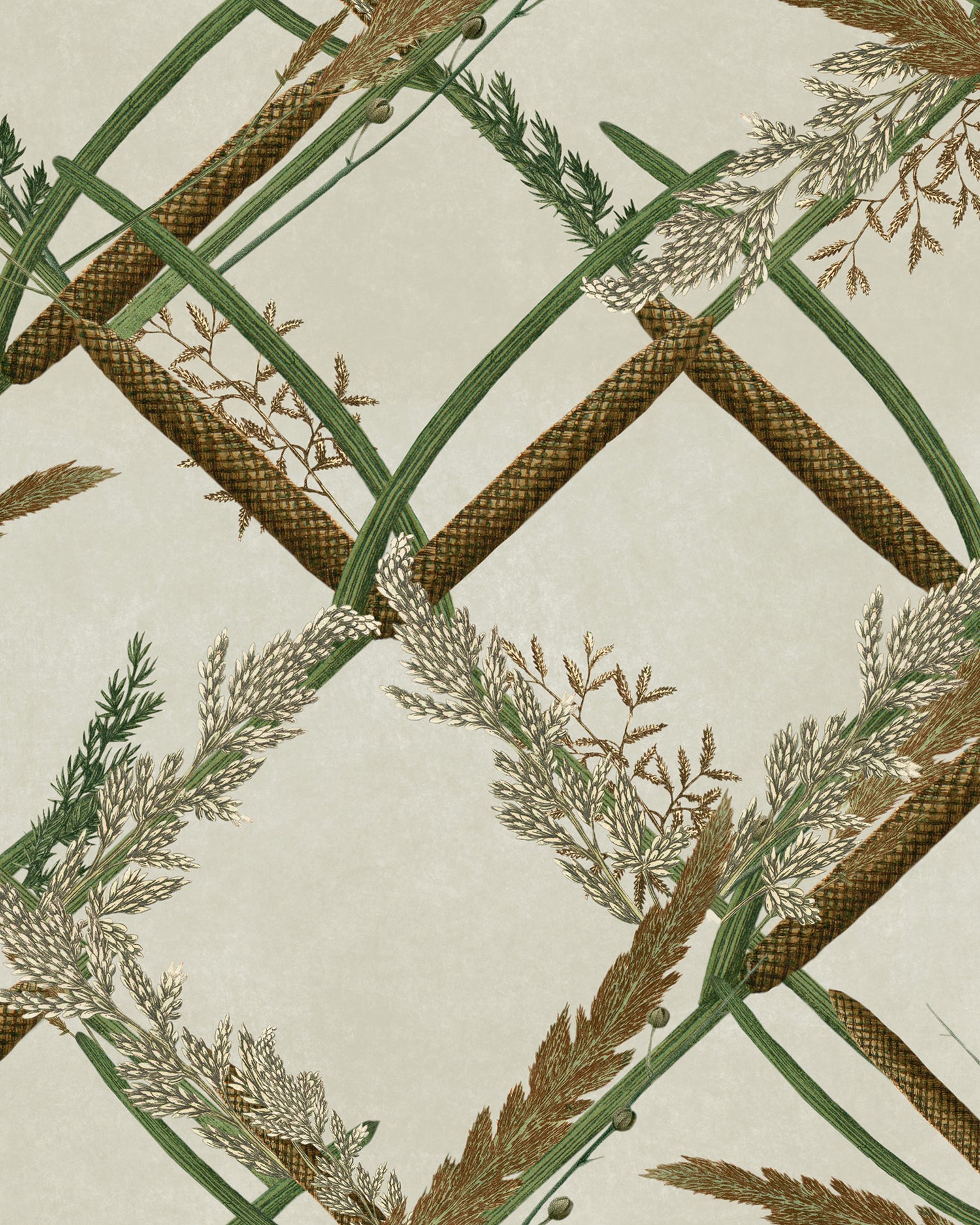 Ornamental Reed wallpaper in brown color - pattern number WP30161 - by Mind the Gap in the The Wetlands collection