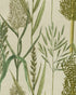 Riverside Flora wallpaper in taupe color - pattern number WP30164 - by Mind the Gap in the The Wetlands collection