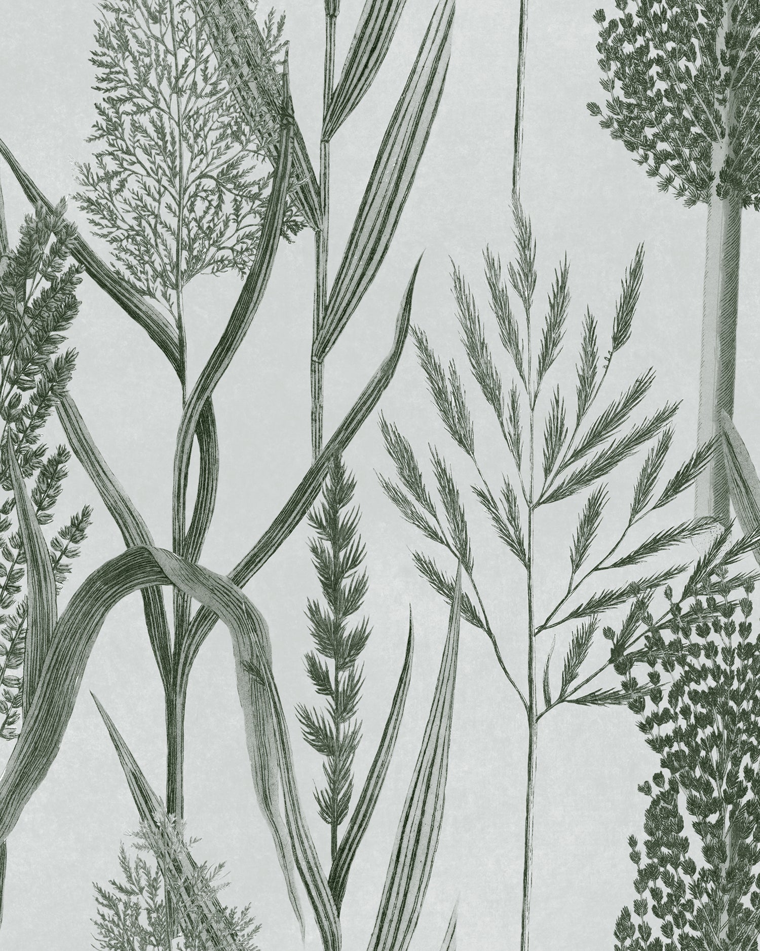 Riverside Flora wallpaper in off white color - pattern number WP30165 - by Mind the Gap in the The Wetlands collection