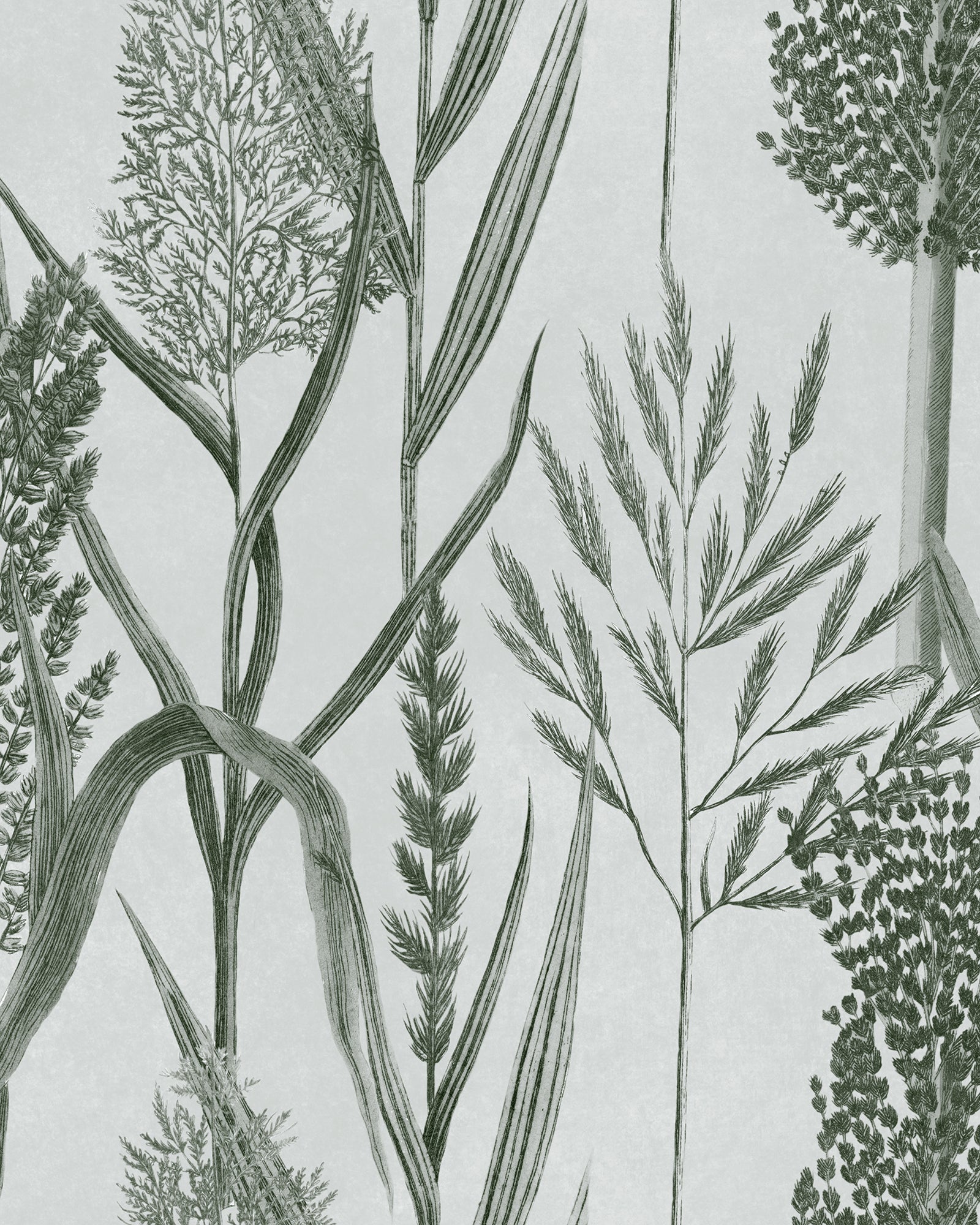 Riverside Flora wallpaper in off white color - pattern number WP30165 - by Mind the Gap in the The Wetlands collection