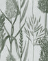 Riverside Flora wallpaper in off white color - pattern number WP30165 - by Mind the Gap in the The Wetlands collection