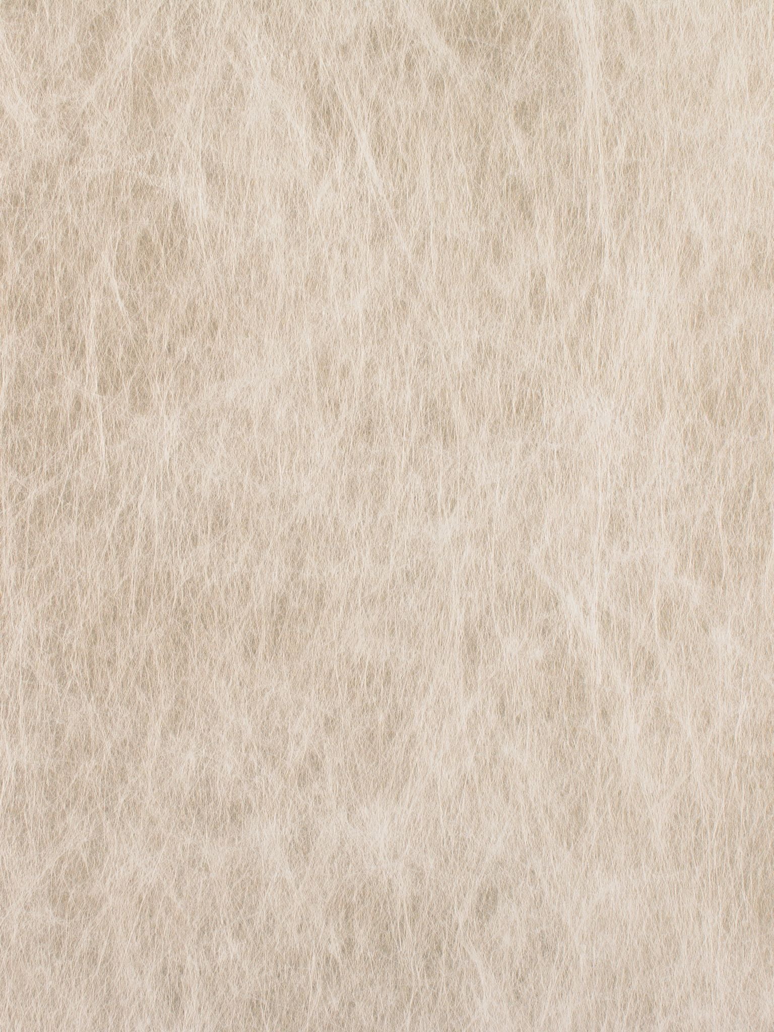 Cumulus fabric in silver color - pattern number WRW 0001052C - by Scalamandre in the  collection