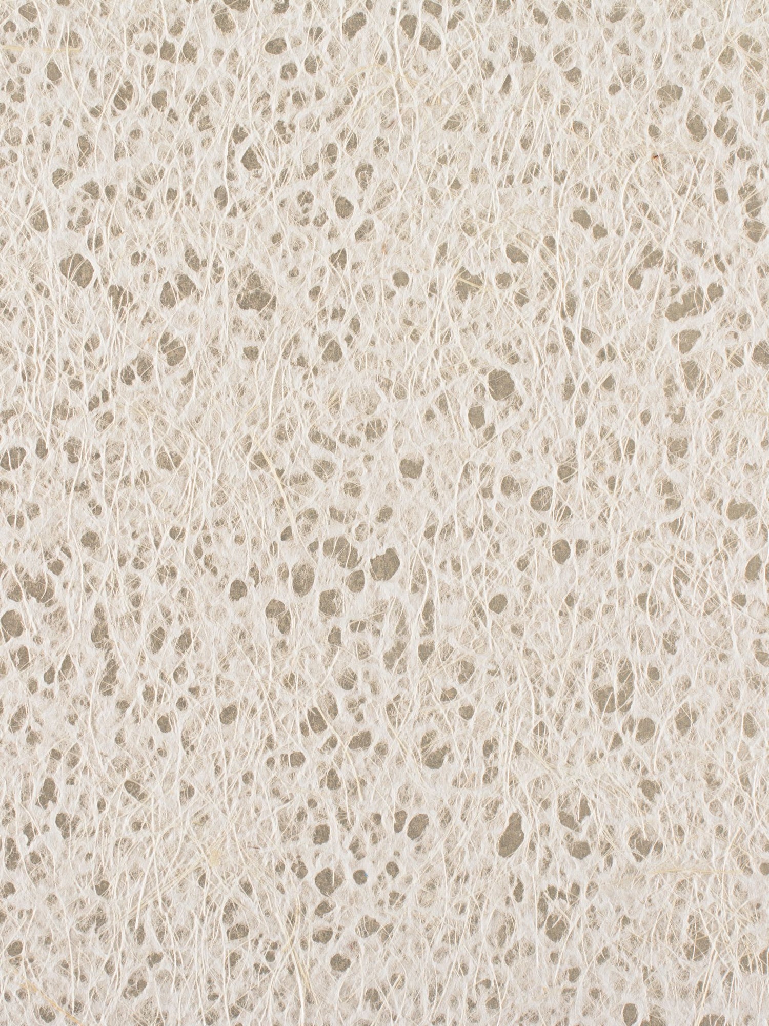 Cumulus Clouds fabric in silver color - pattern number WRW 0001072B - by Scalamandre in the  collection