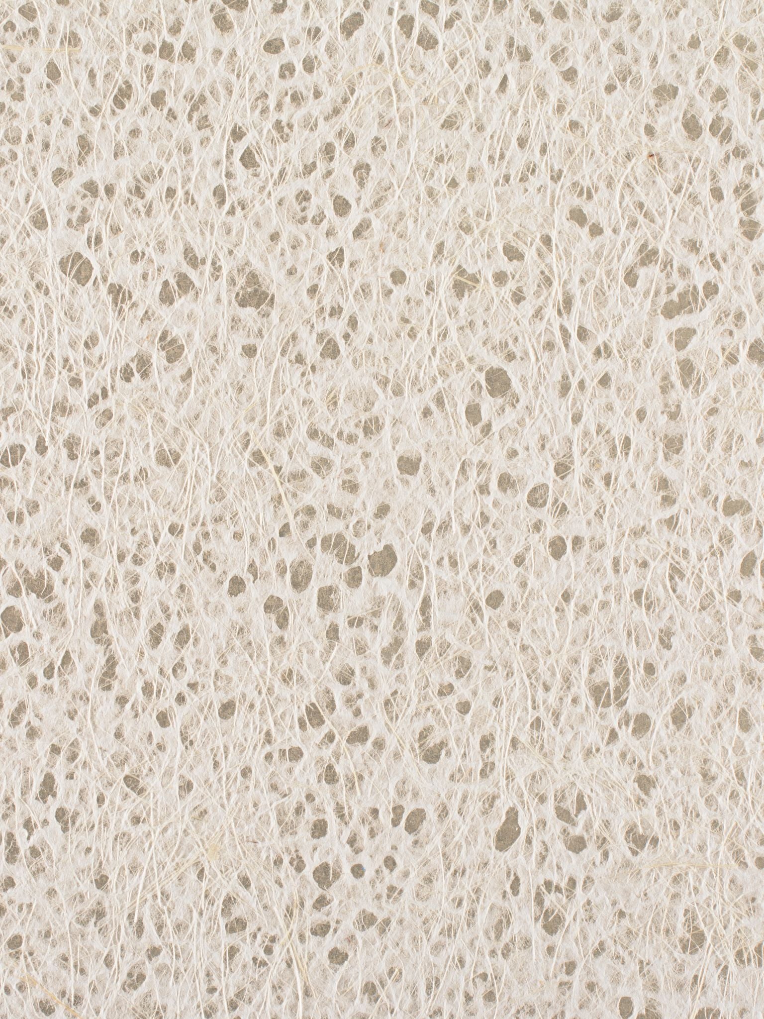Cumulus Clouds fabric in silver color - pattern number WRW 0001072B - by Scalamandre in the  collection