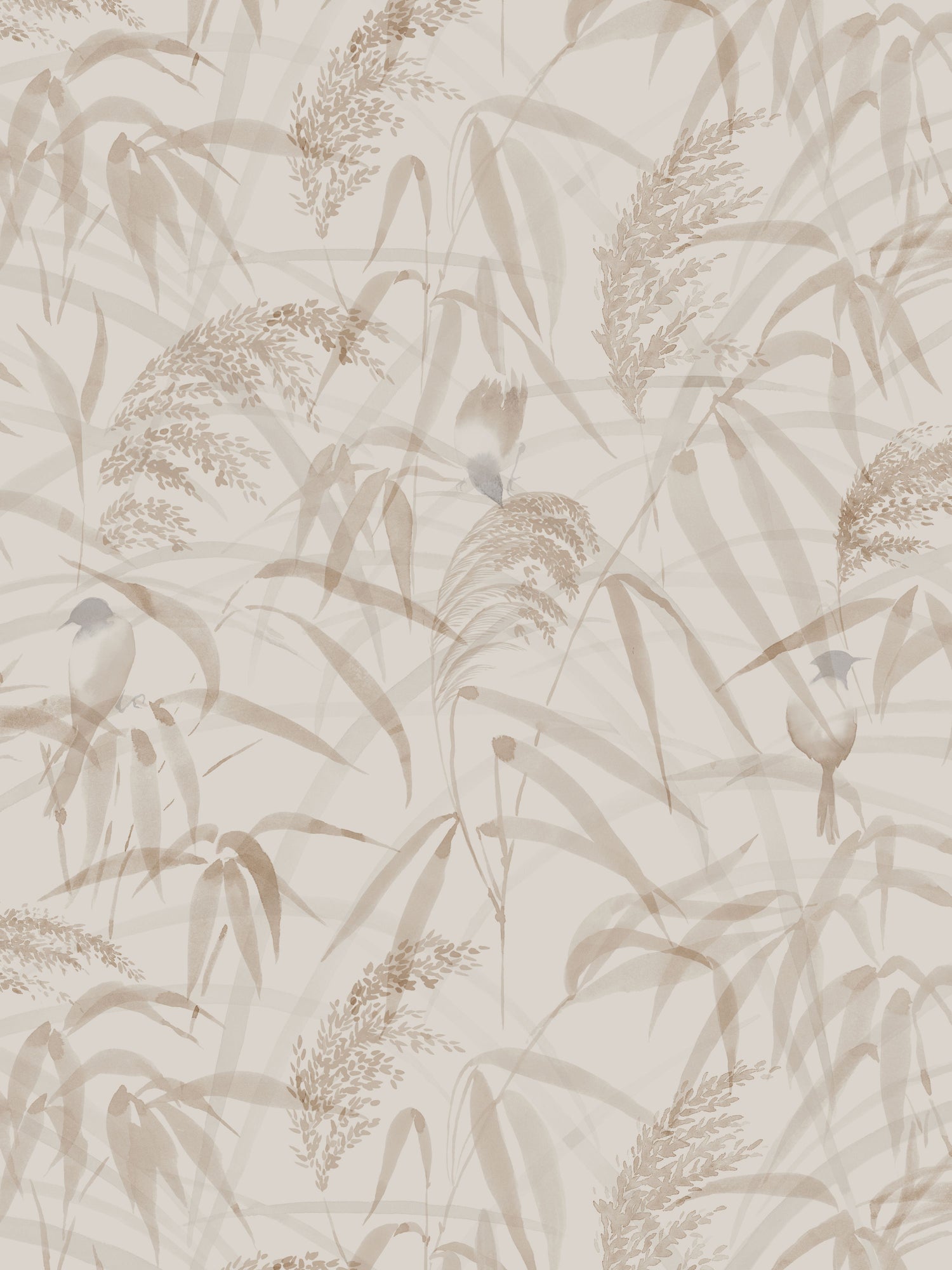 Anna wallpaper in hazel color - pattern number WSB 00101010 - by Scalamandre in the  collection
