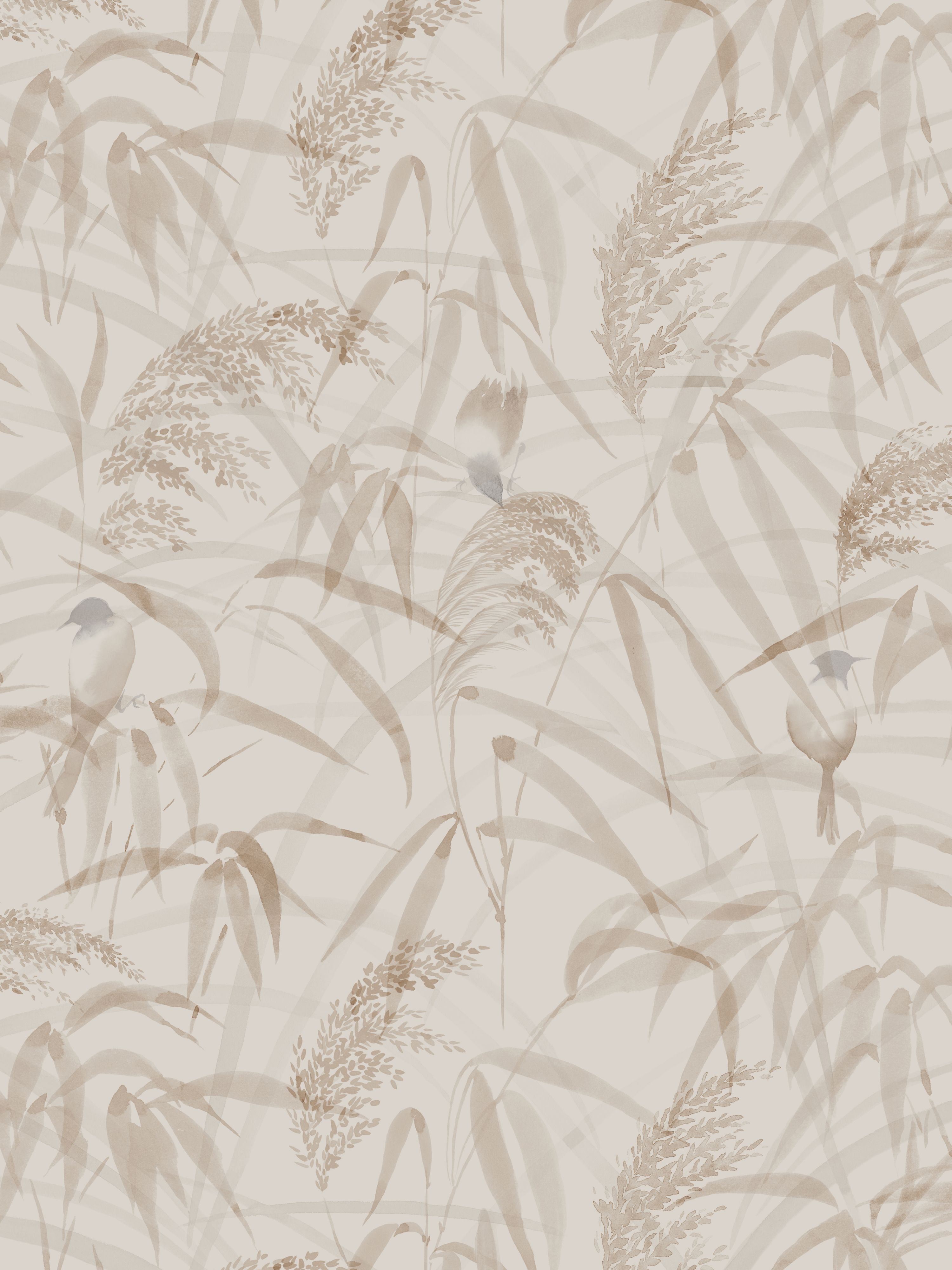 Anna wallpaper in hazel color - pattern number WSB 00101010 - by Scalamandre in the  collection