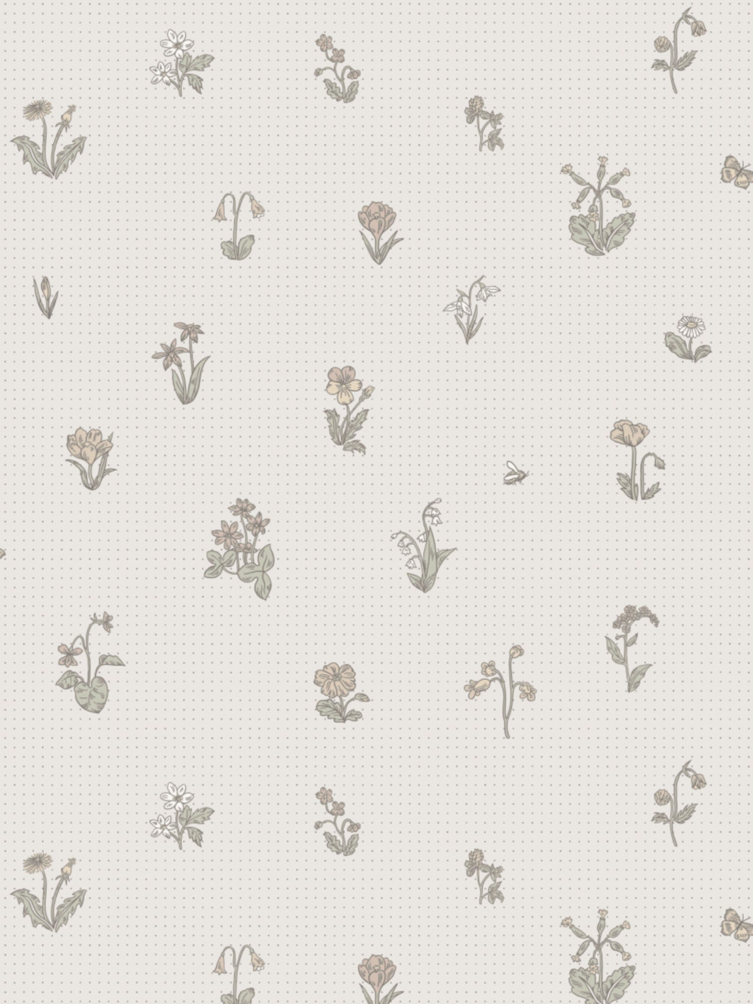 Maja wallpaper in pastel color - pattern number WSB 00110841 - by Scalamandre in the  collection