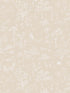 Hollie fabric in peach color - pattern number WSB 00140232 - by Scalamandre in the  collection