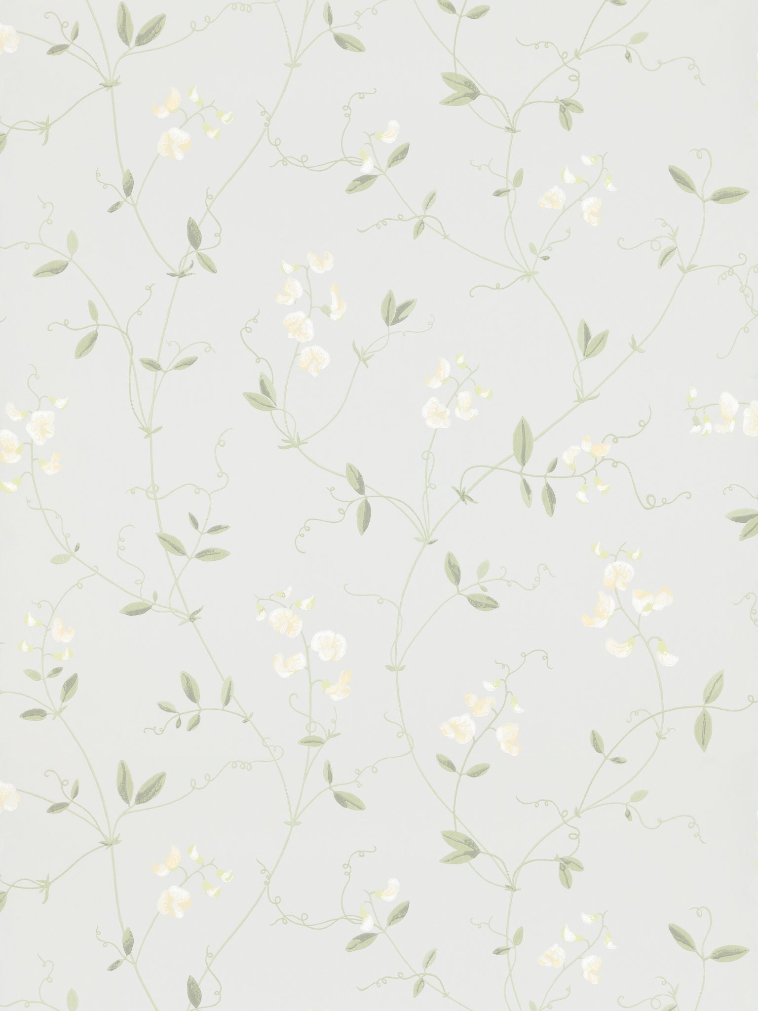 Sanna fabric in light blue color - pattern number WSB 00160490 - by Scalamandre in the  collection