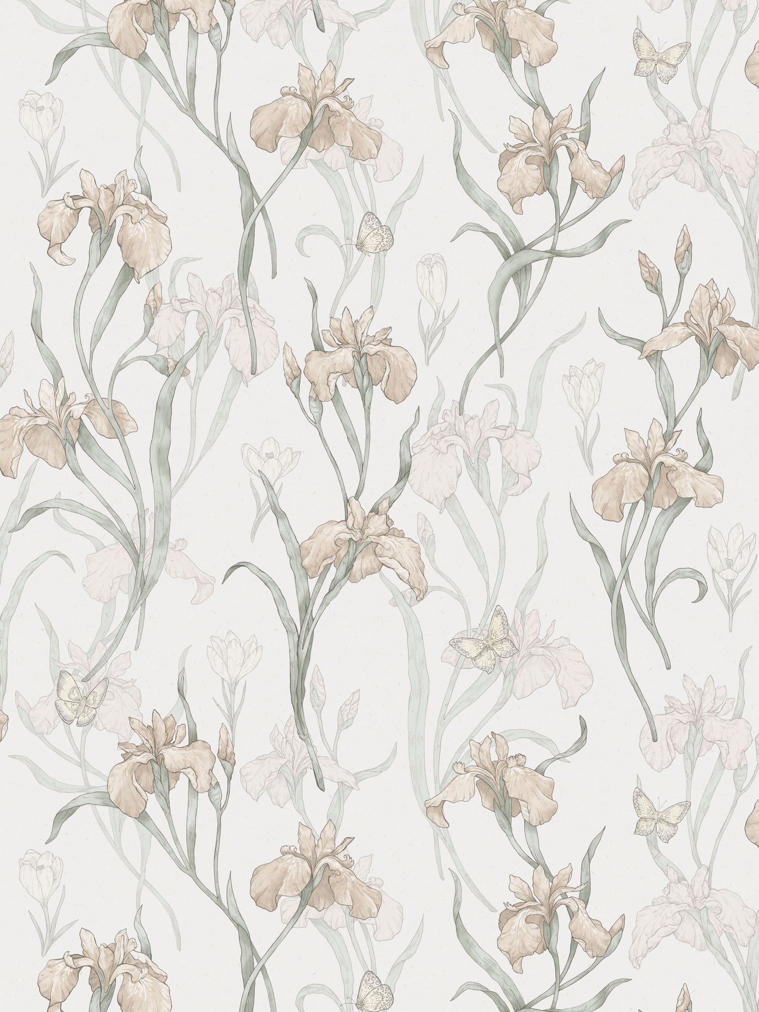 Iris wallpaper in powder pink color - pattern number WSB 003501013 - by Scalamandre in the  collection