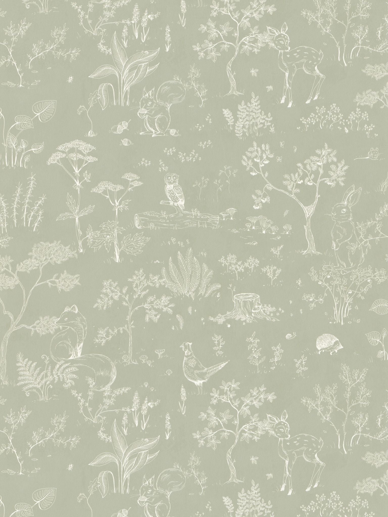 Hollie fabric in pistachio color - pattern number WSB 00380232 - by Scalamandre in the  collection