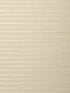 New Voyages Silky fabric in divine ivory color - pattern number WTT 651361 - by Scalamandre in the  collection