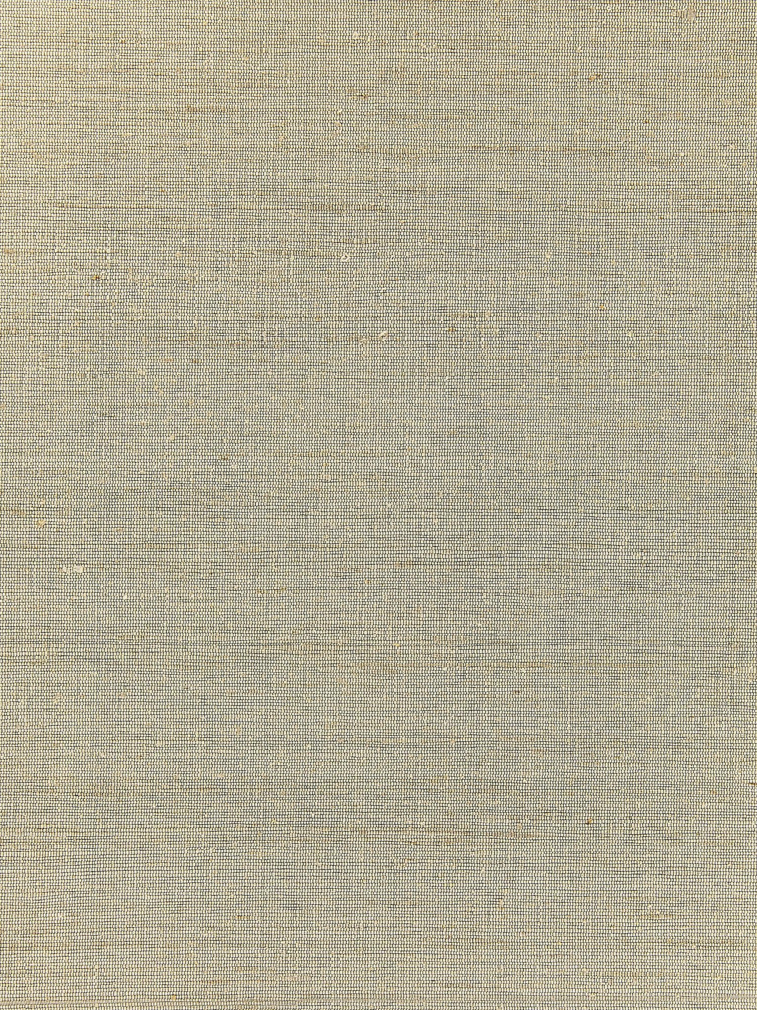 Orissa Silk fabric in oat color - pattern number WTT 661528 - by Scalamandre in the  collection