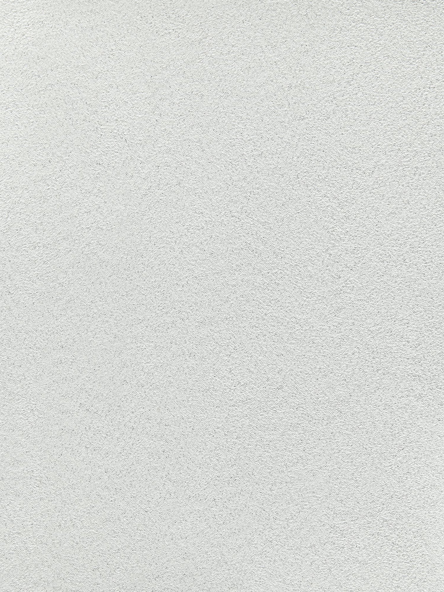 Veneto fabric in mist color - pattern number WTT 661644 - by Scalamandre in the  collection