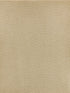 Veneto fabric in wheat color - pattern number WTT 661646 - by Scalamandre in the  collection